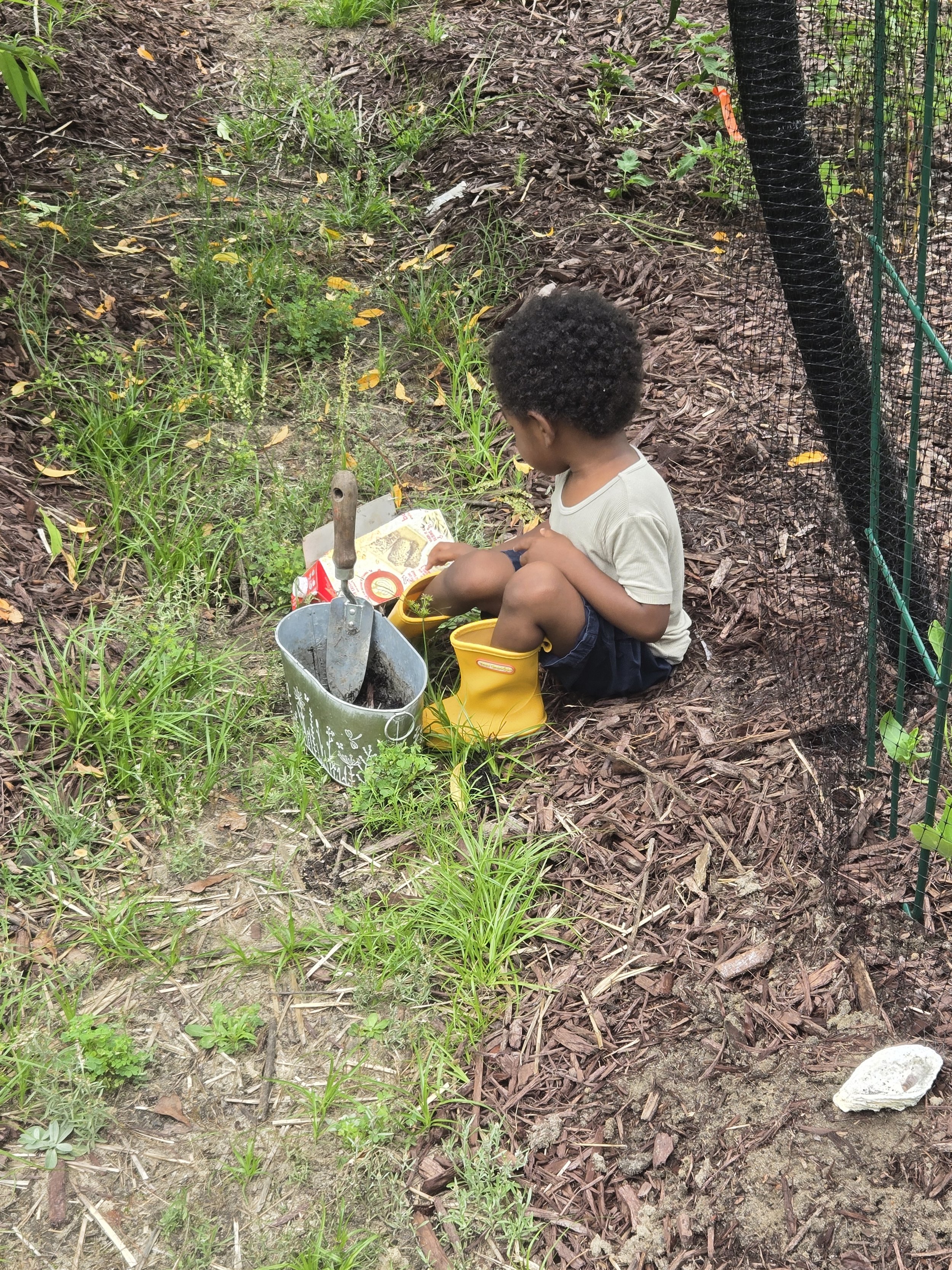 a child wearing yellow boots, a light green shirt, and navy shorts, sits between on a garden bed next to a metal pail and shovel