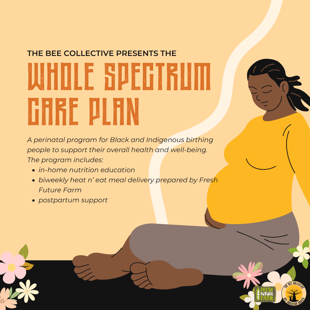 The BEE Collective SC:
Social media graphic promoting postpartum meals, nutrition education, and community support.