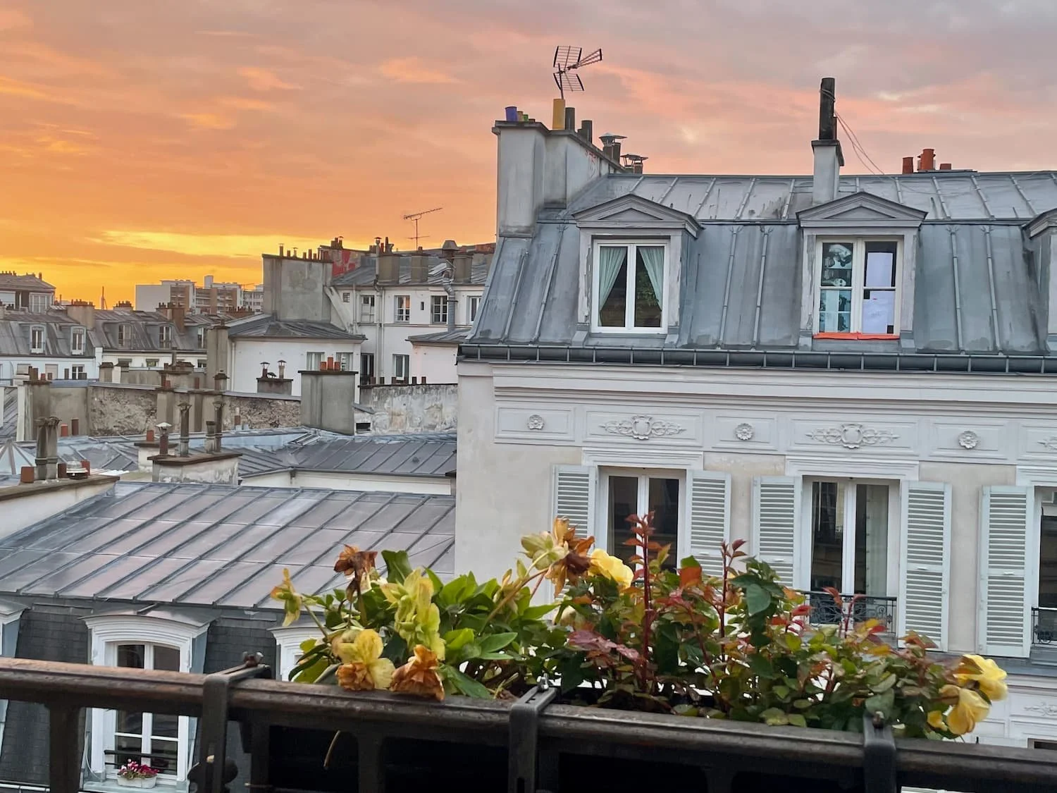 Paris rooftop view