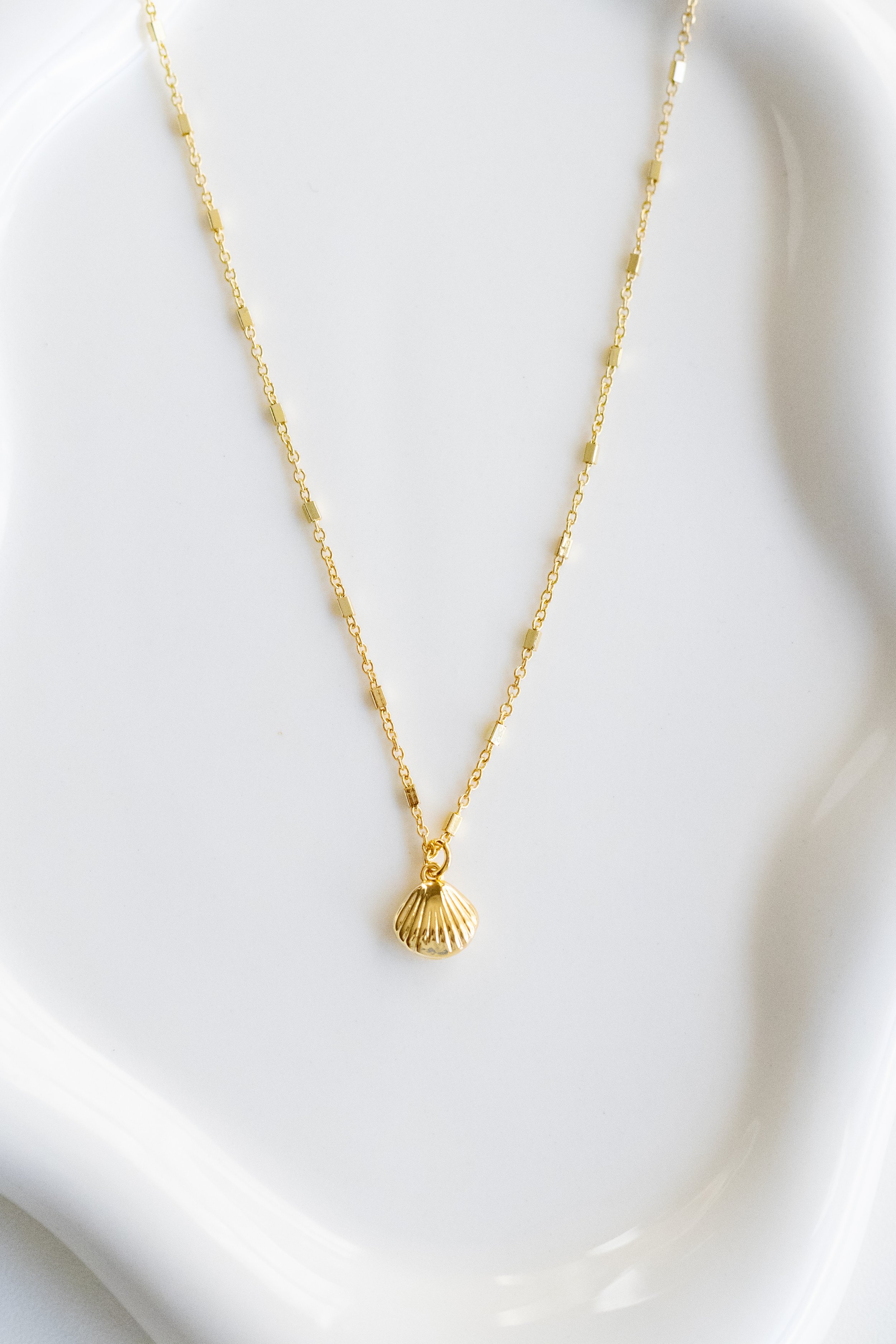 Mini Shell Gold Filled Necklace