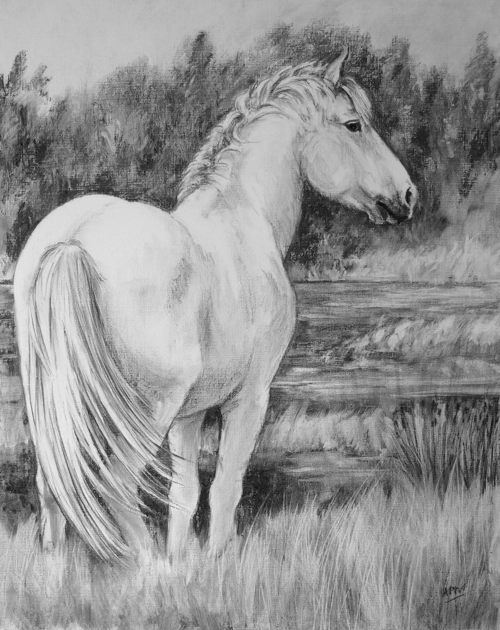 Le Camarguais, pastel sur toile, 64x80cm