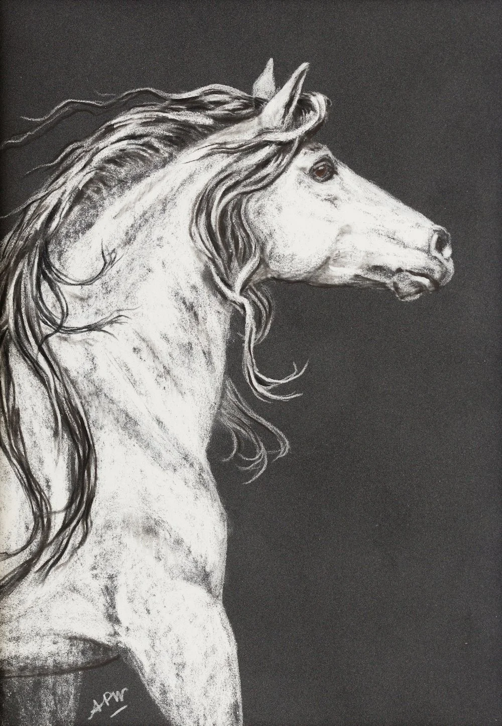 L'andalou.  Pastel. 30x40 cm
