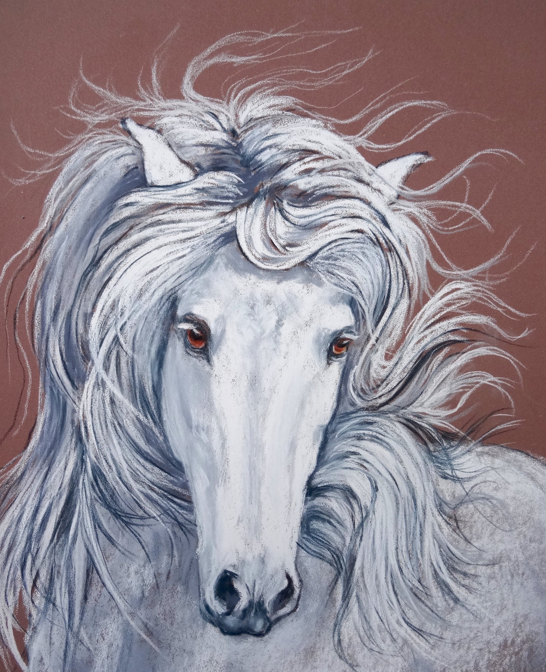 Regard doux.  Pastel. 30x40cm
