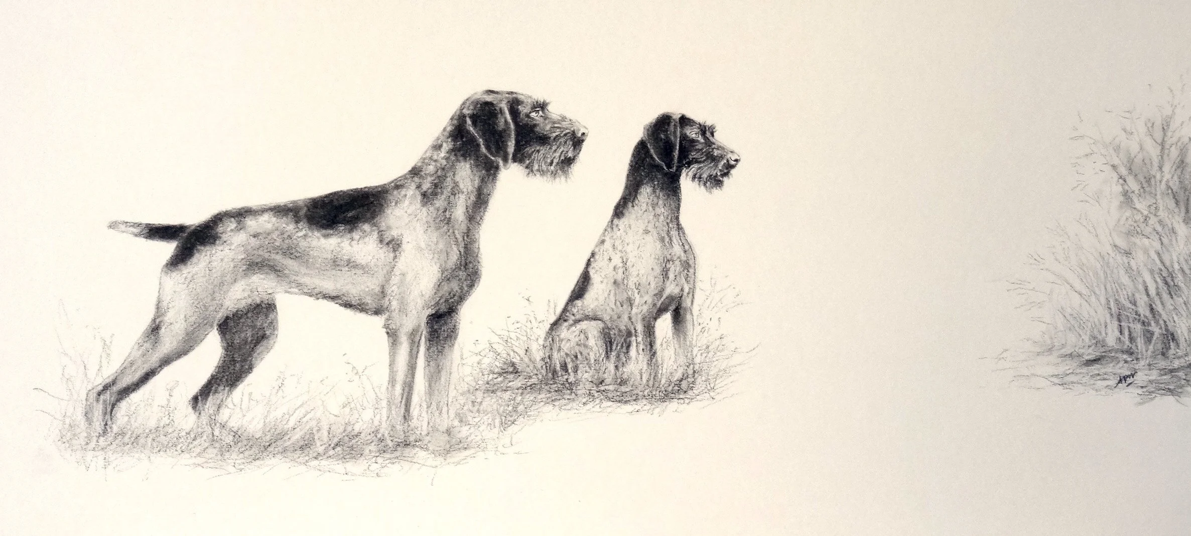 2 chiens de chasse