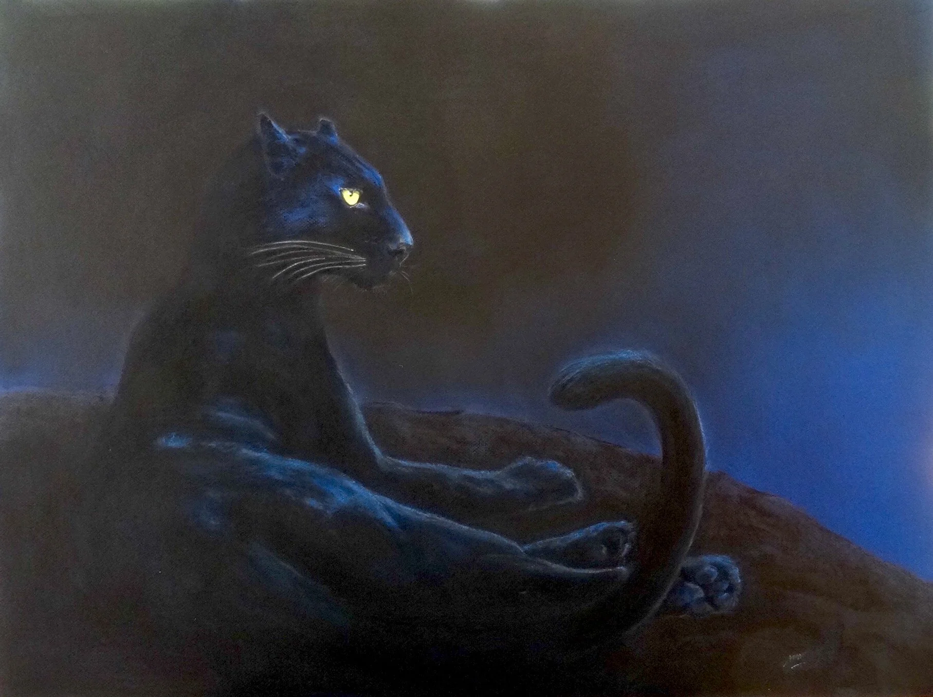Panthère noire au crépuscule.  Pastel