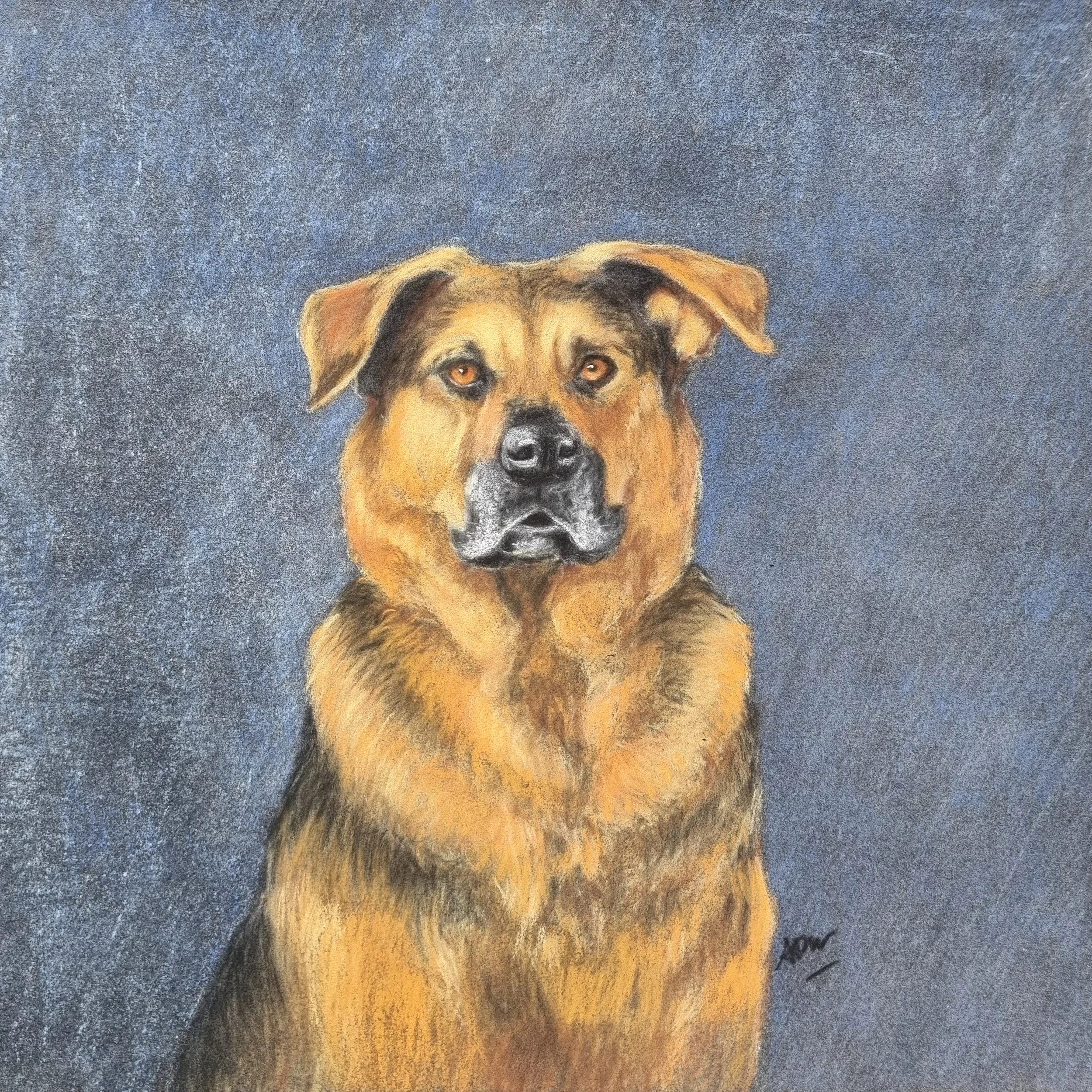 "Baloo"