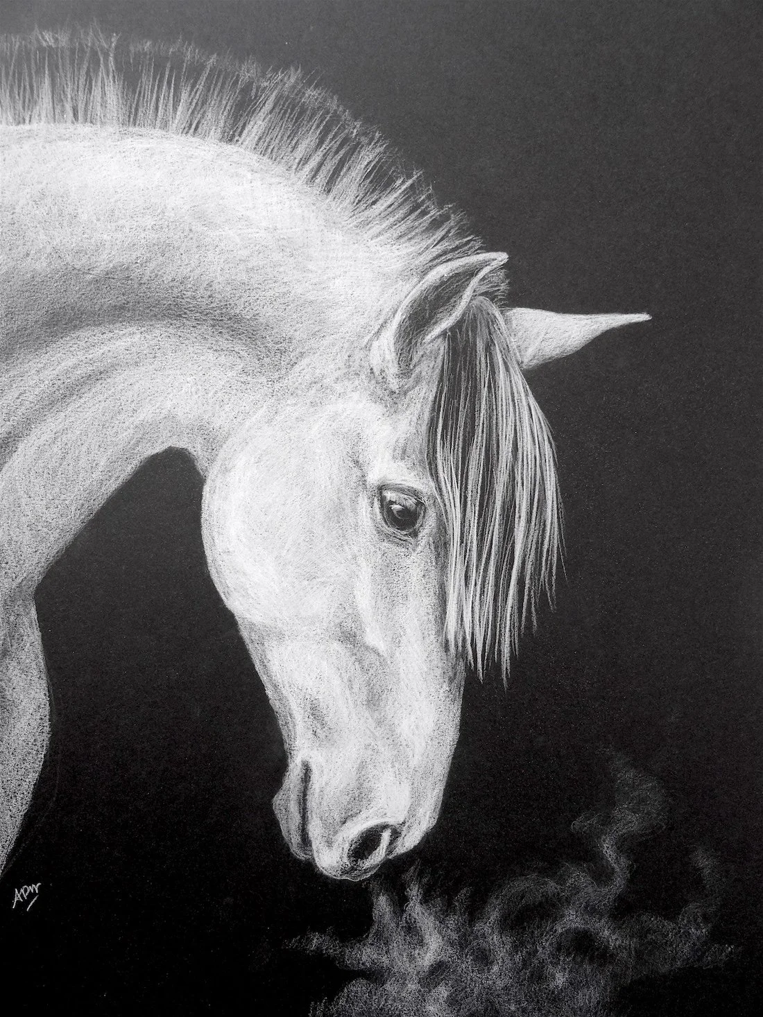 Les chevaux