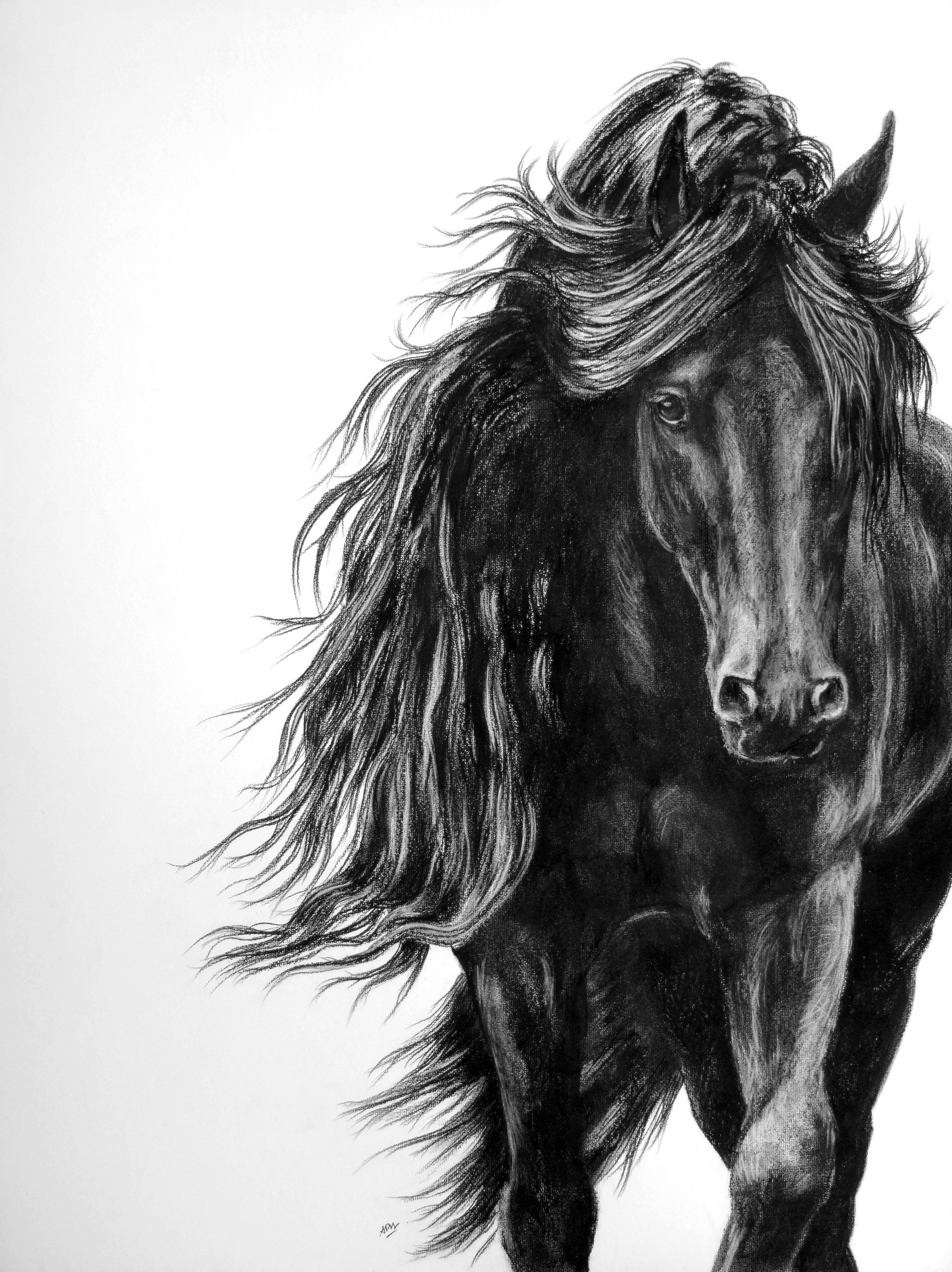 Le frison.  Pastel. 60x80cm