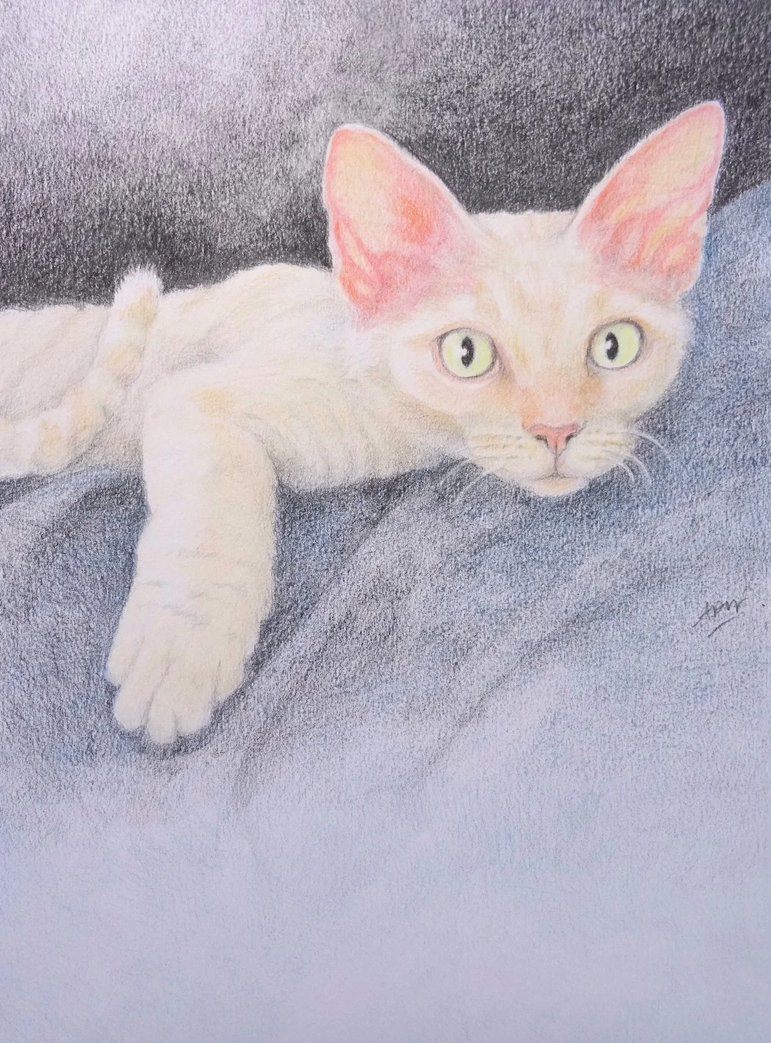 "Lulu"