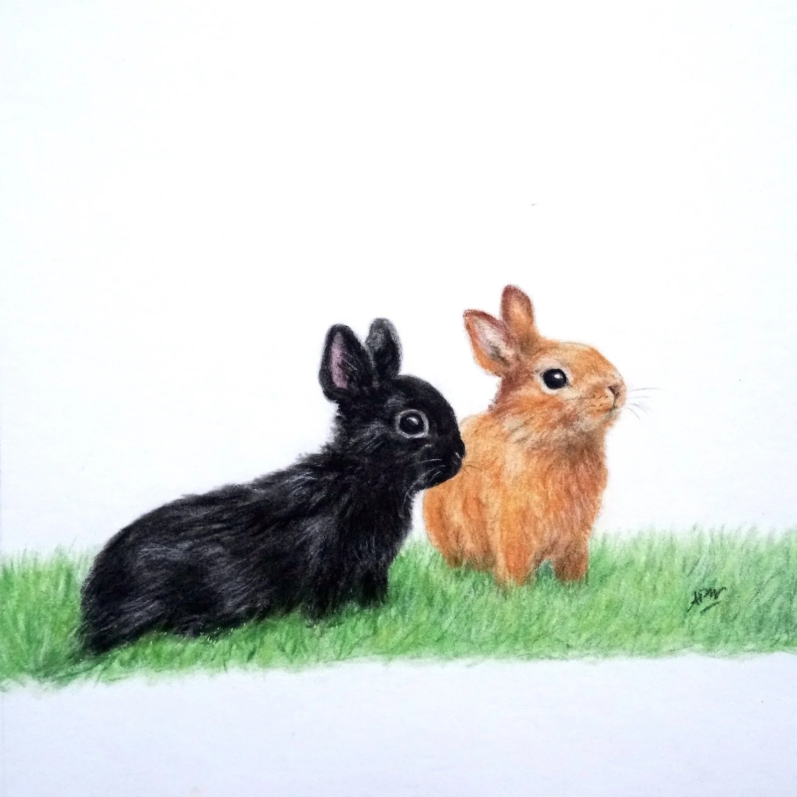 "Blacky et Babou"