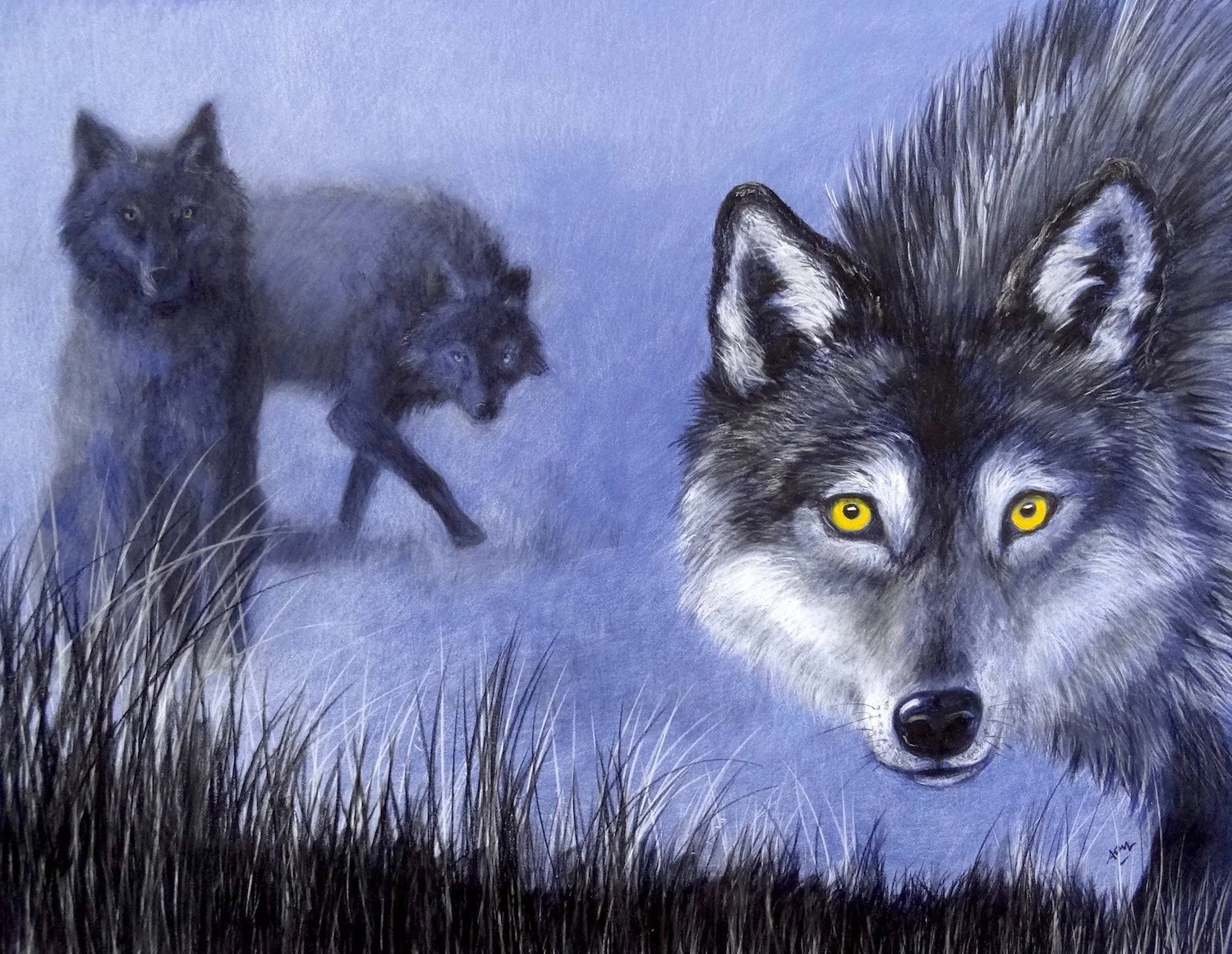 Loups dans la brume