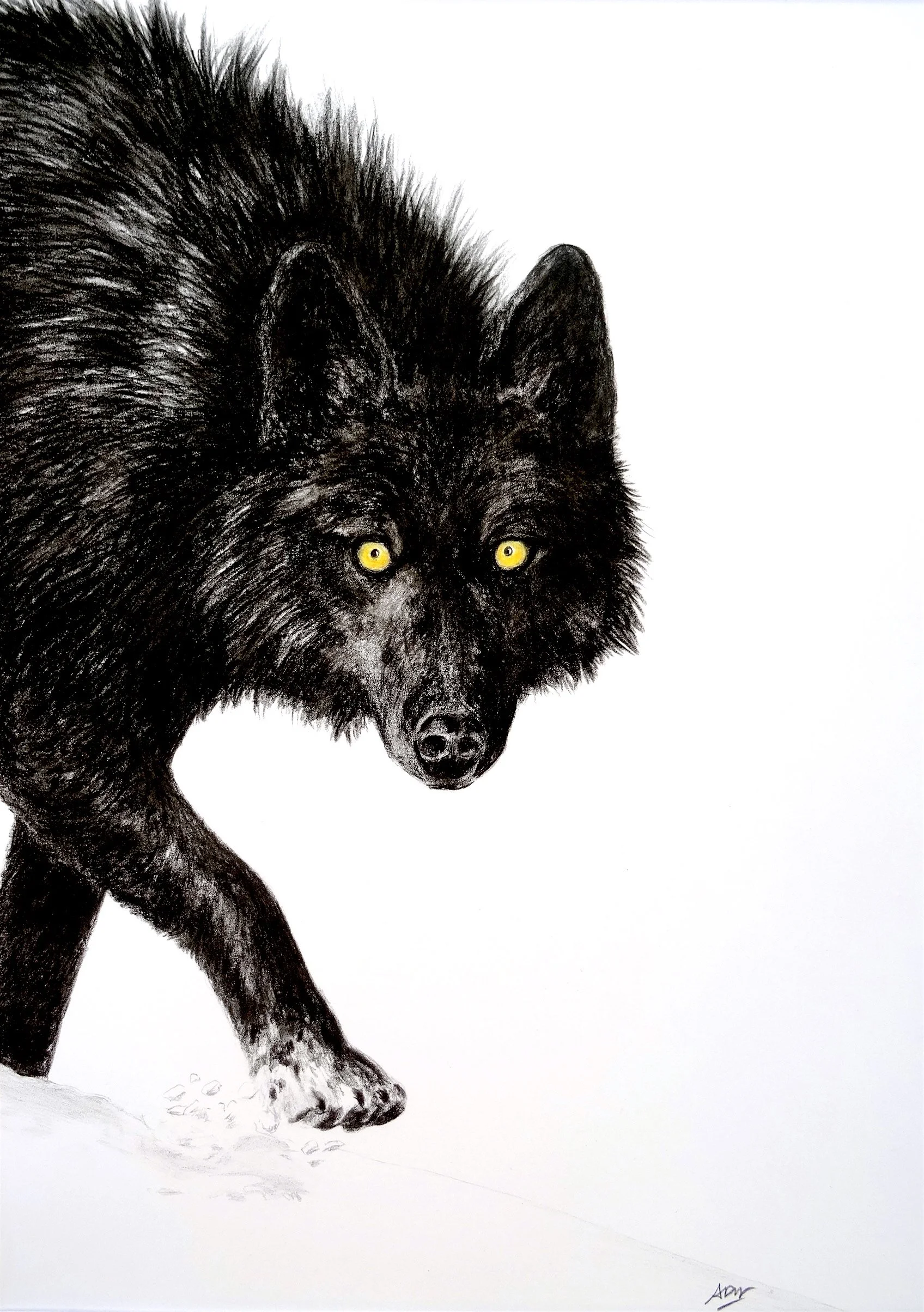 Les loups