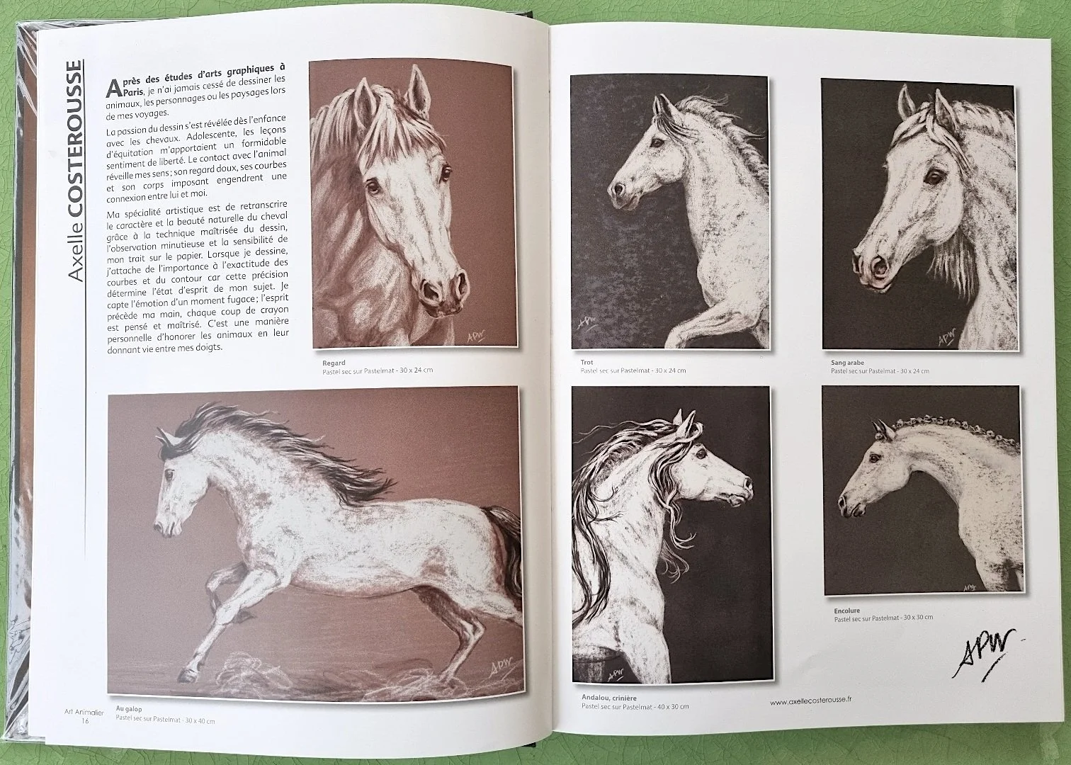 Double page livre d'Art