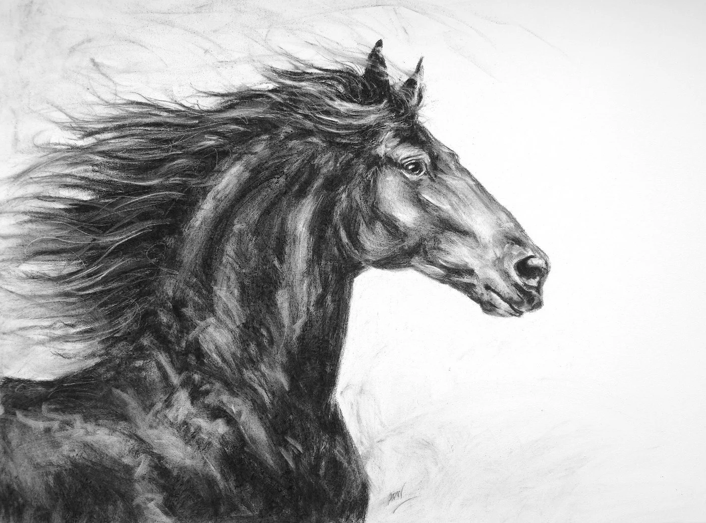 Cheval noir, pastel sur toile 64x80cm