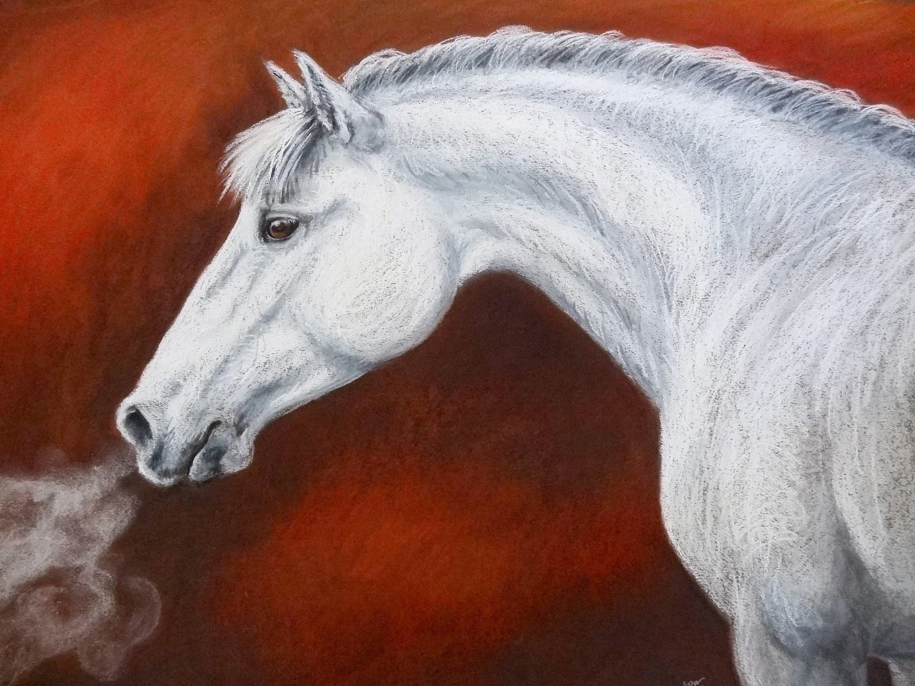 Souffle.  Pastel. 60x80cm
