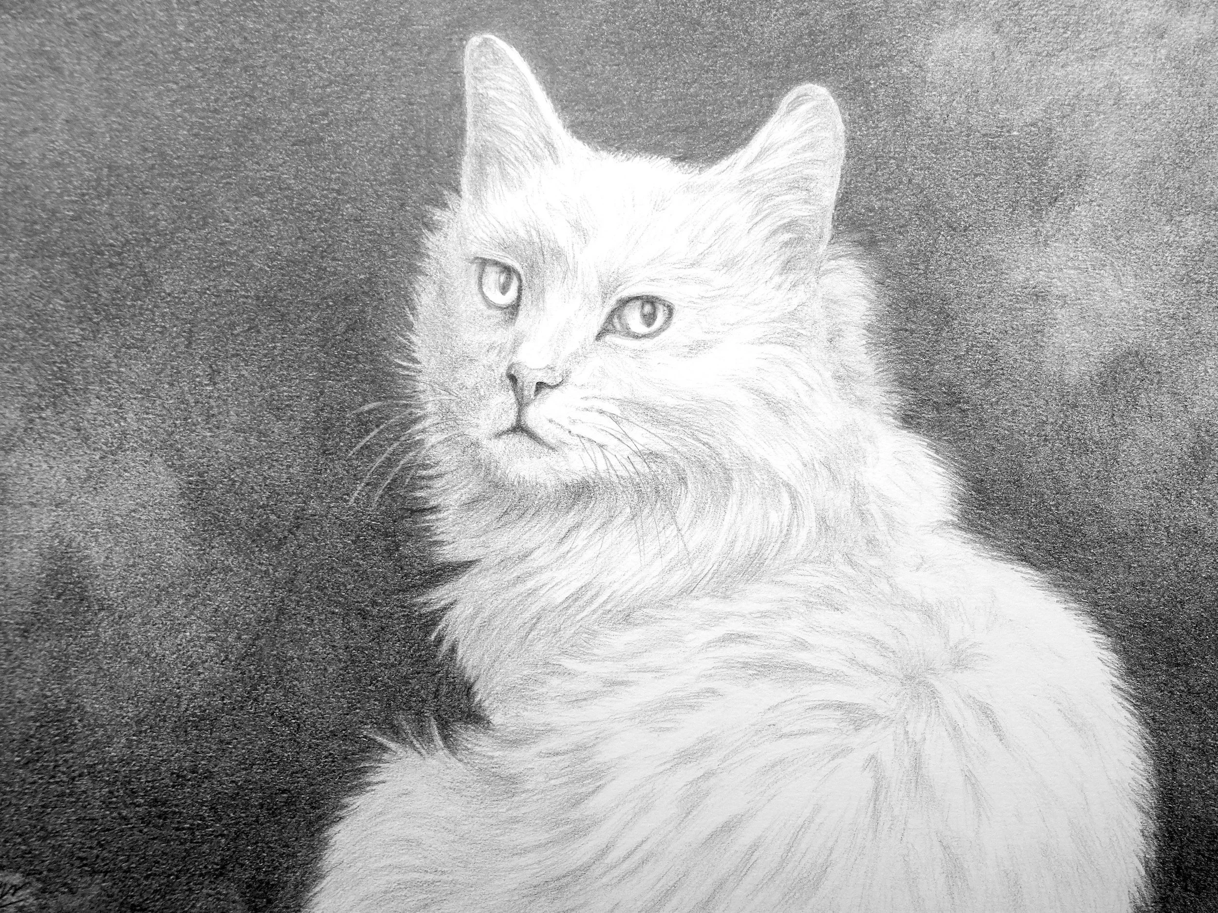 "Plume"