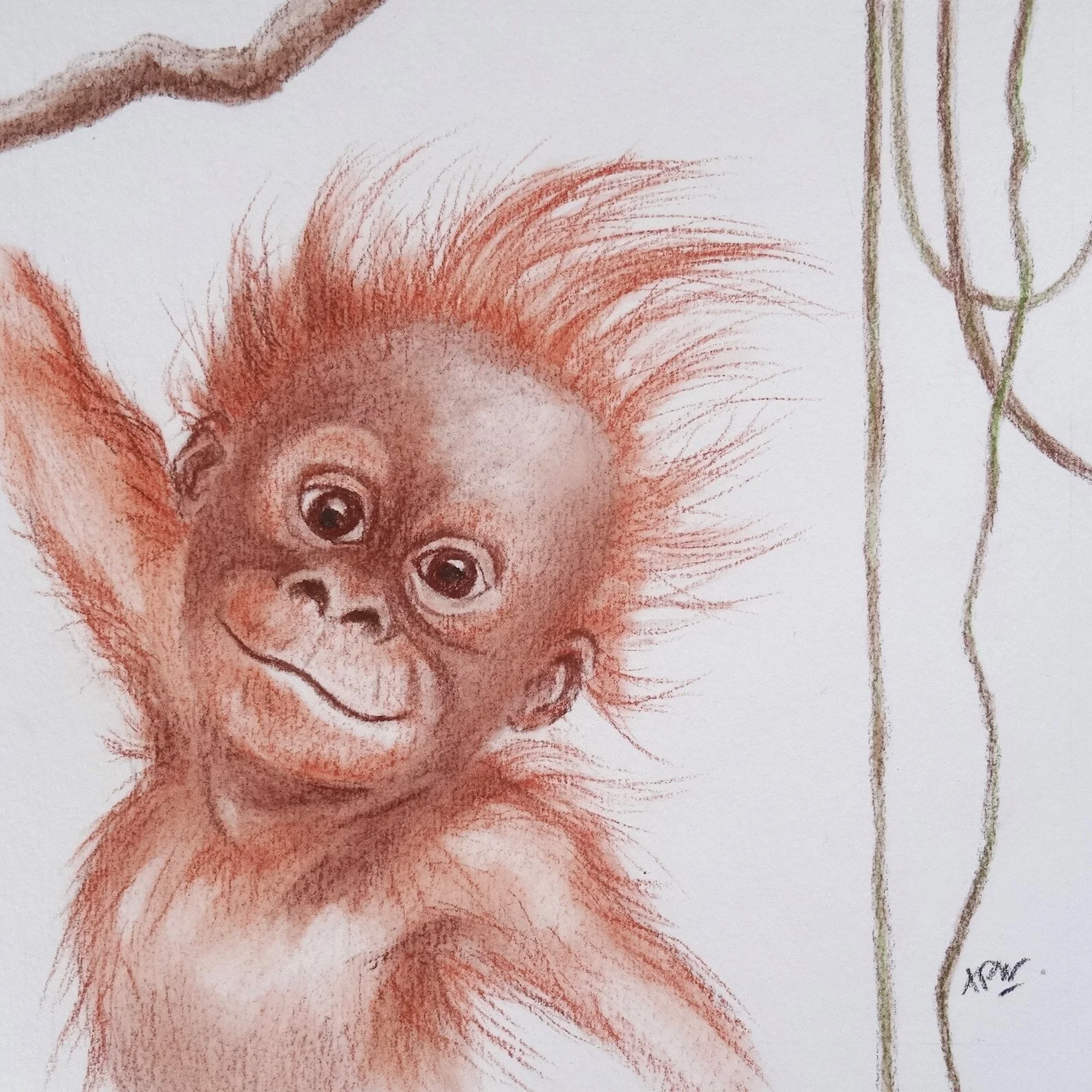Singe et lianes
