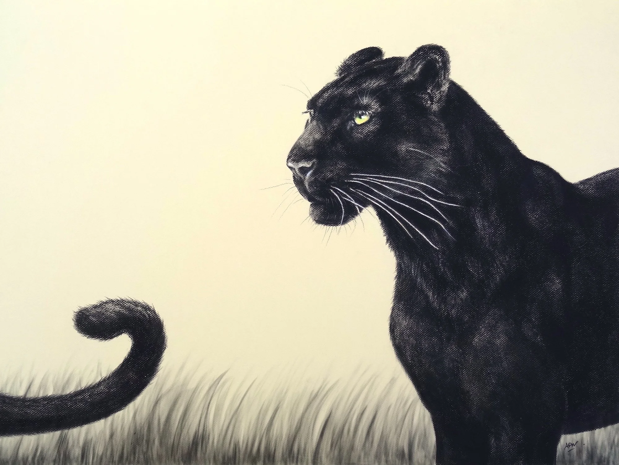 Séduction.  Pastel 60x80cm