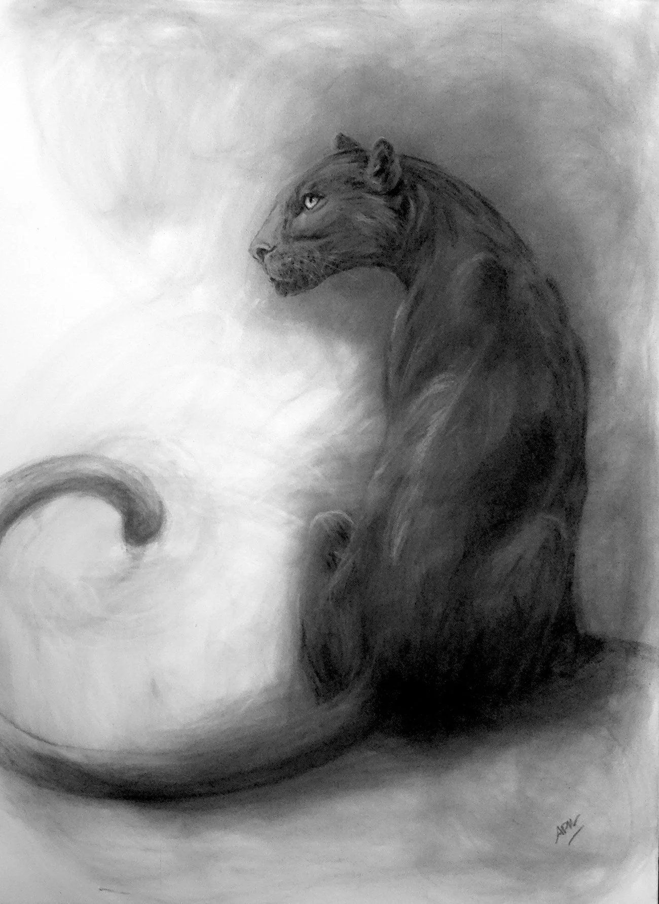 Panthère noire, pastel sur toile 64x80cm