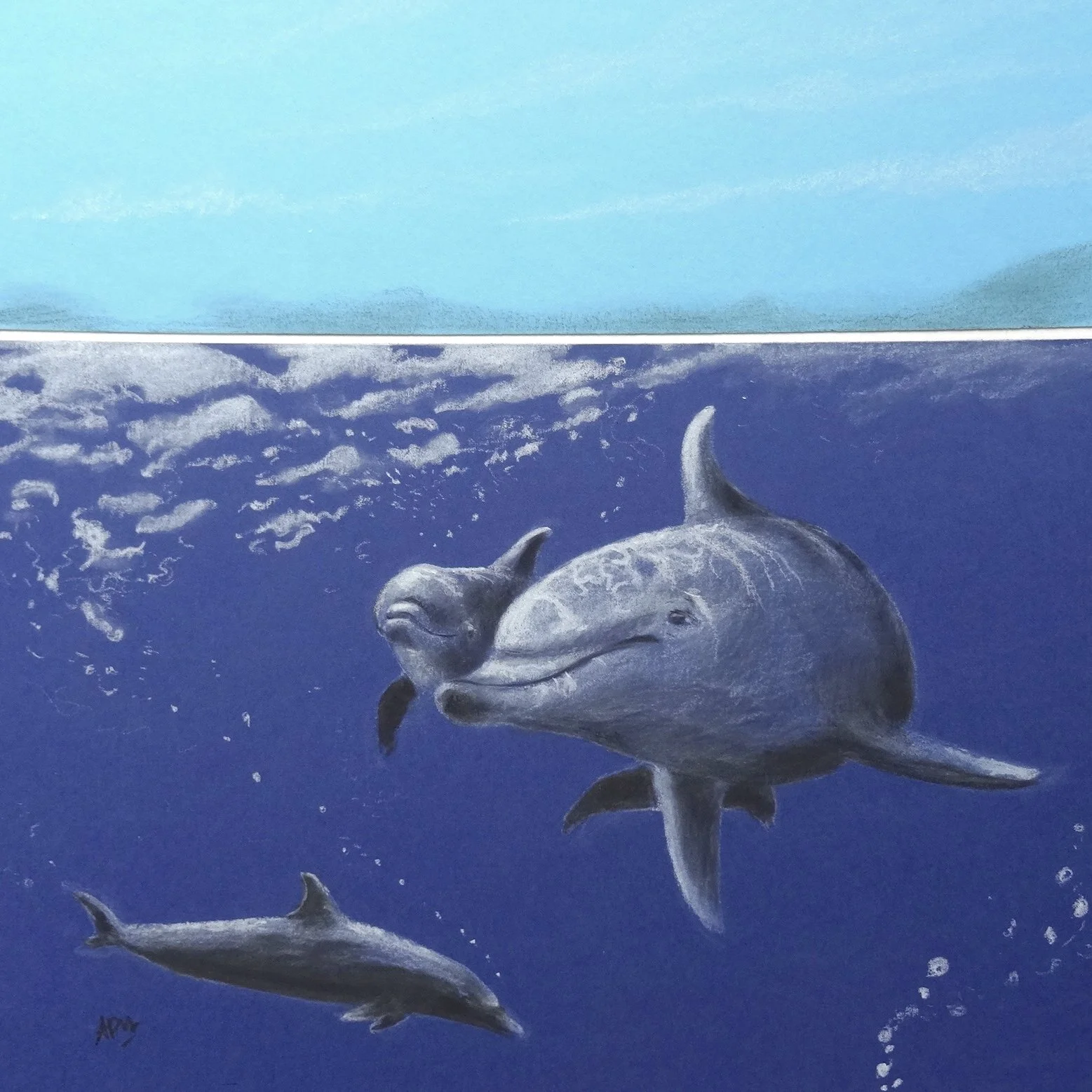 Famille dauphins 30x30cm