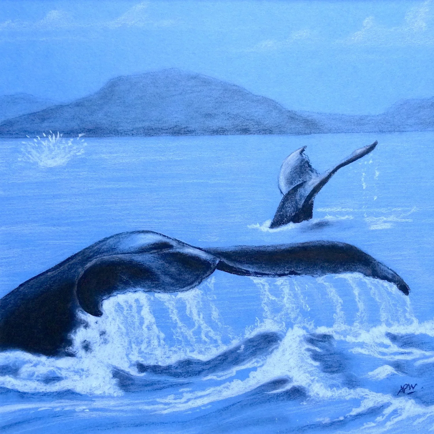 Queues de baleines 30x30cm