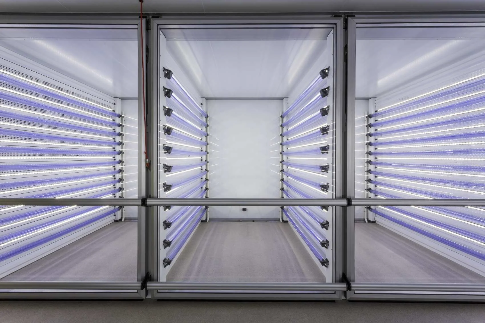 HatchCare enters United Kingdom with Annyalla Chicks