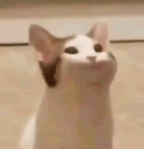Kay