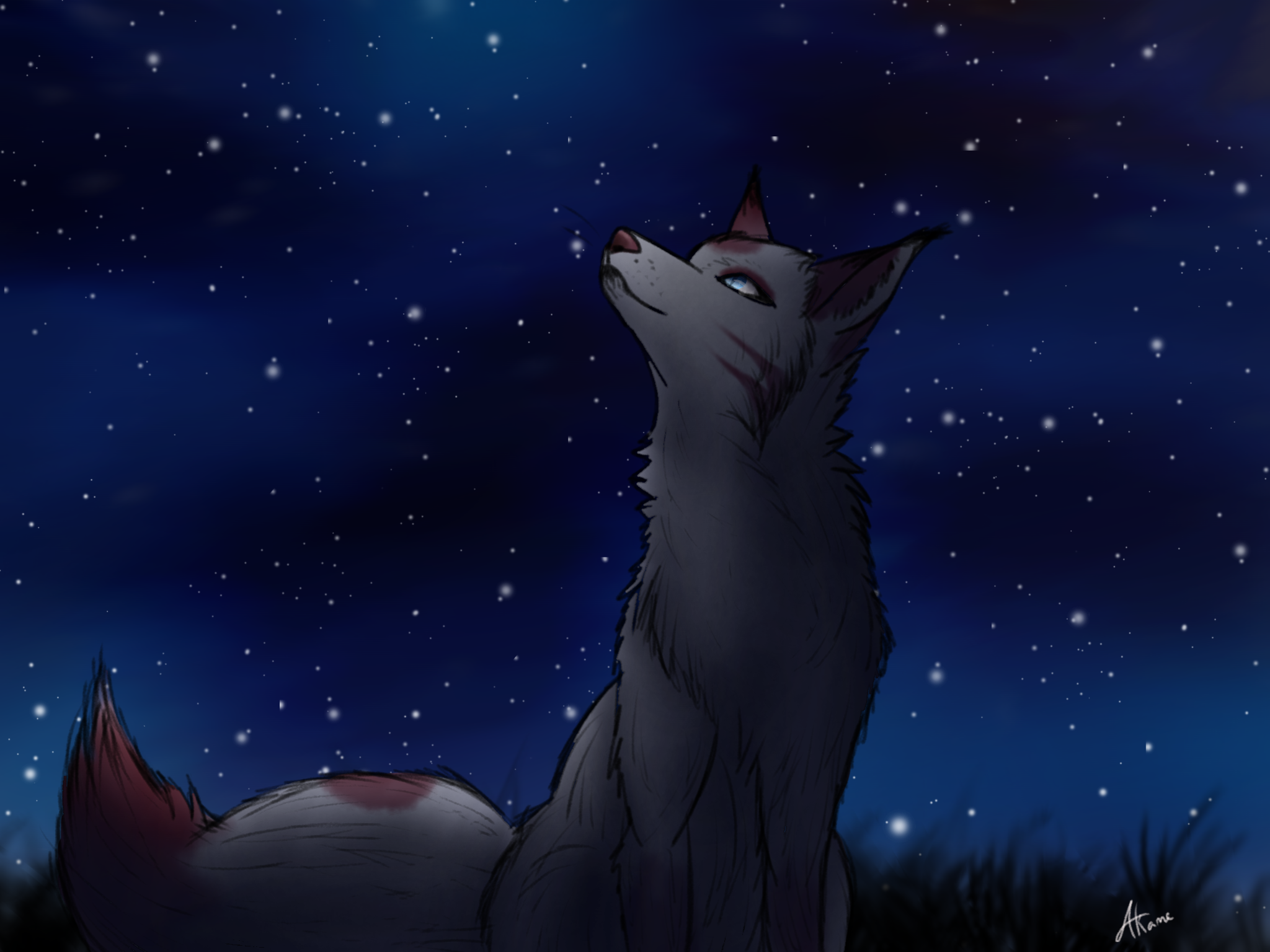 Akame Fox's art