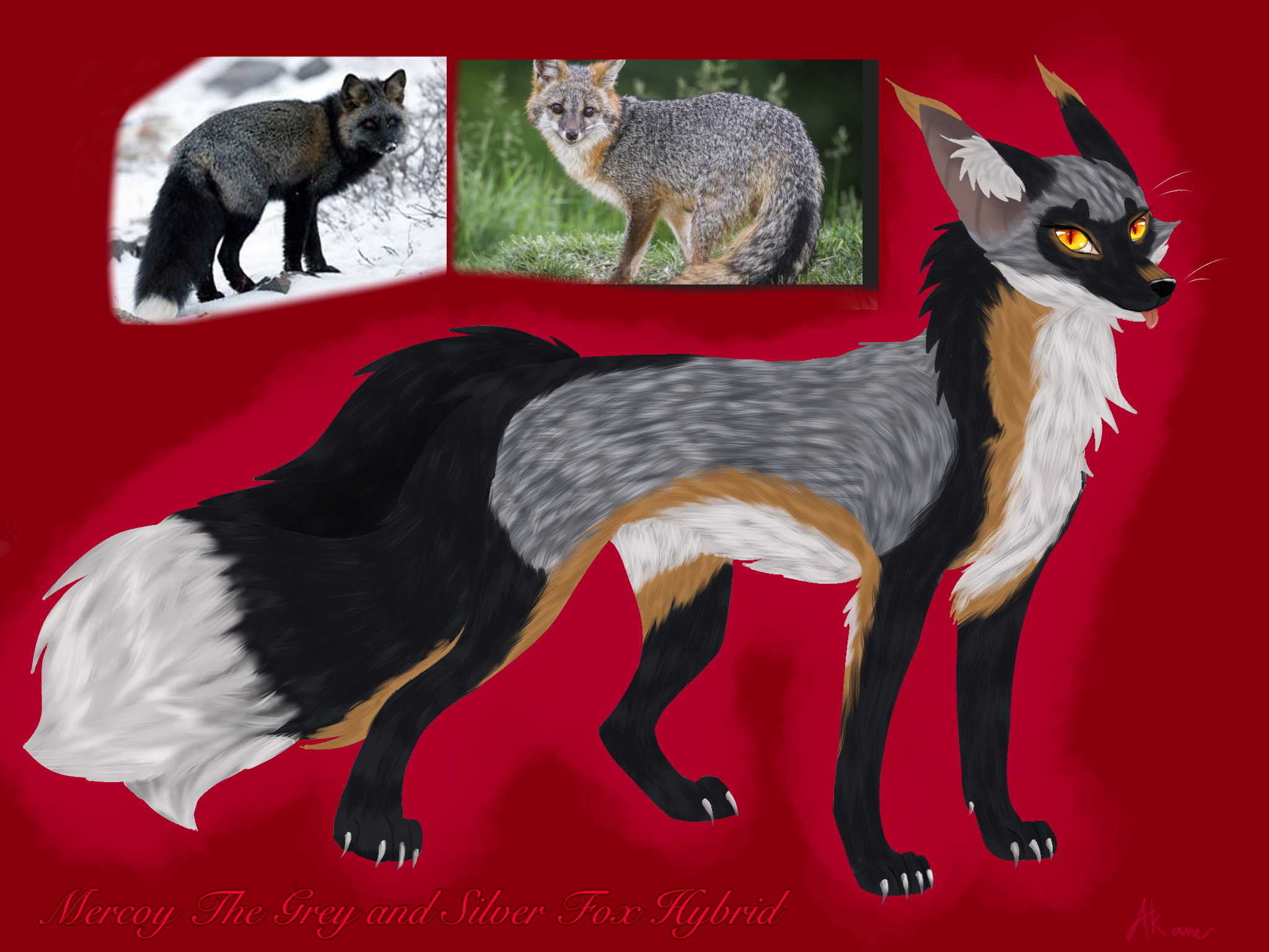 Akame Fox's art