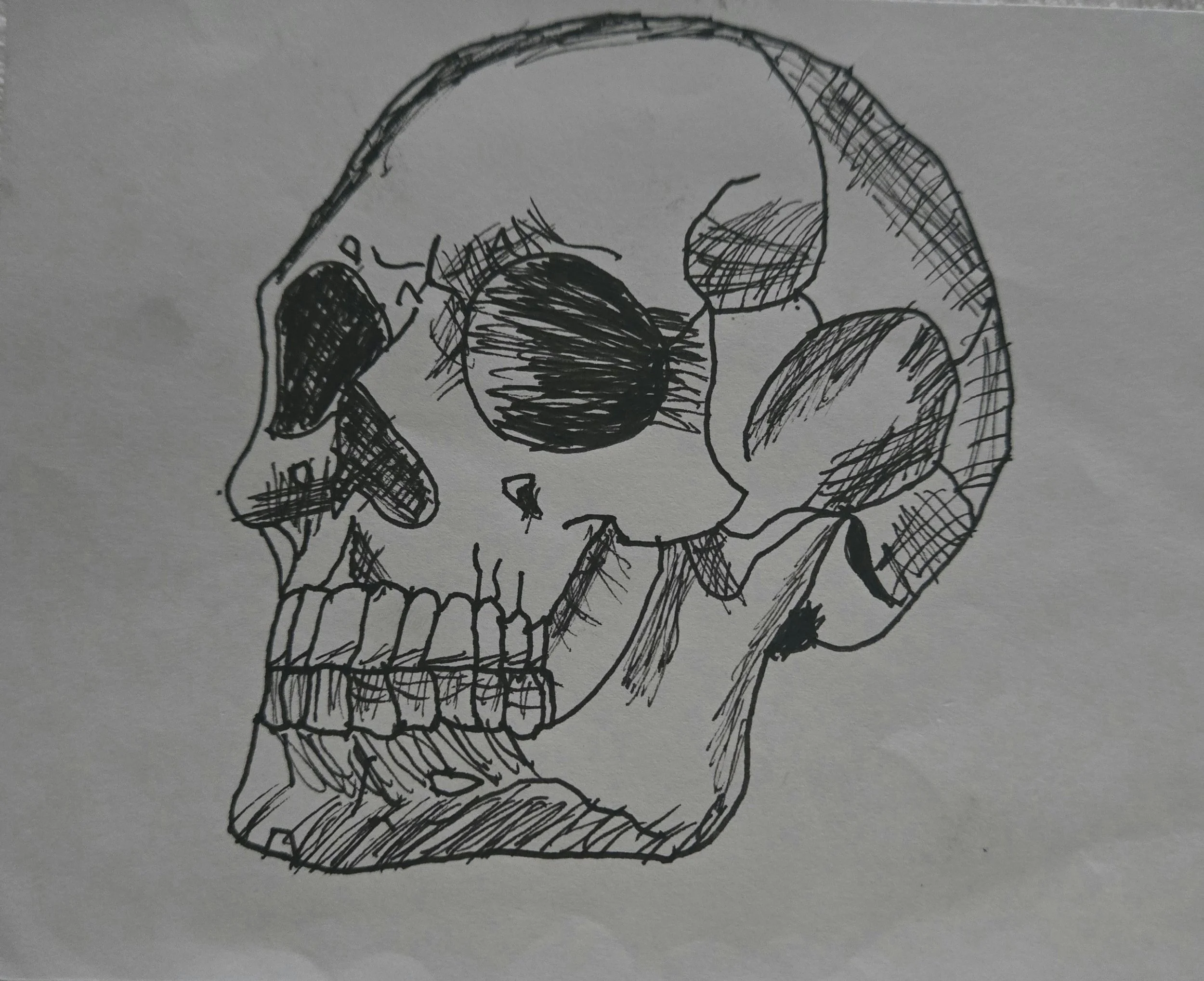 Kiko's Art