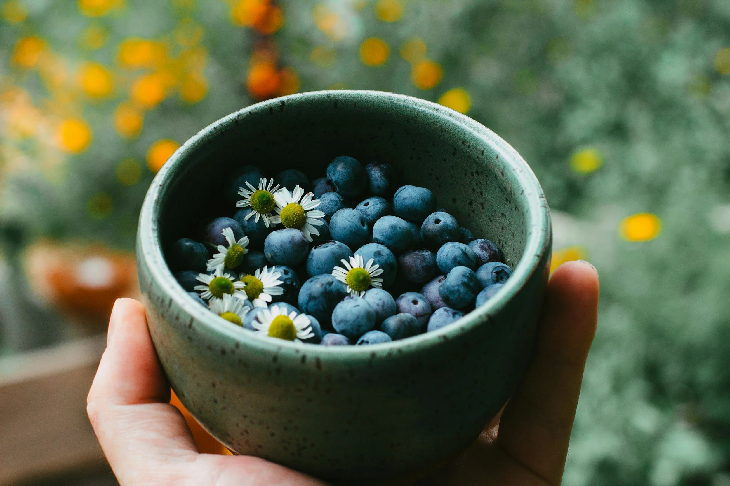 Petite tasse en céramique remplie de myrtilles, décorée avec de petites fleurs blanches, tenu par une main visible dans le bas de l'image, fond flou avec des fleurs jaunes et orangées.