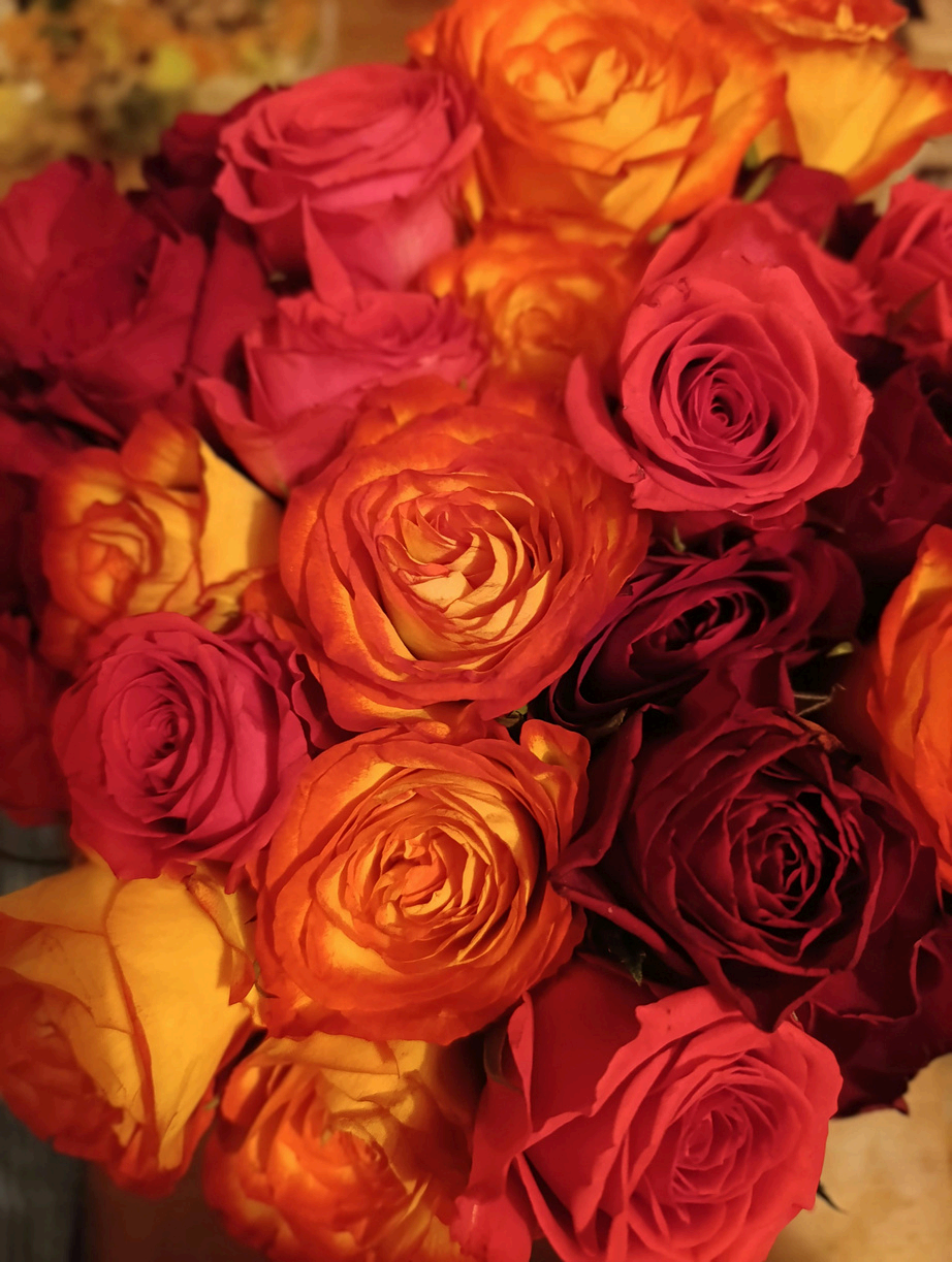 Un bouquet de roses orange, rouge et roses, avec des fleurs fraîches.