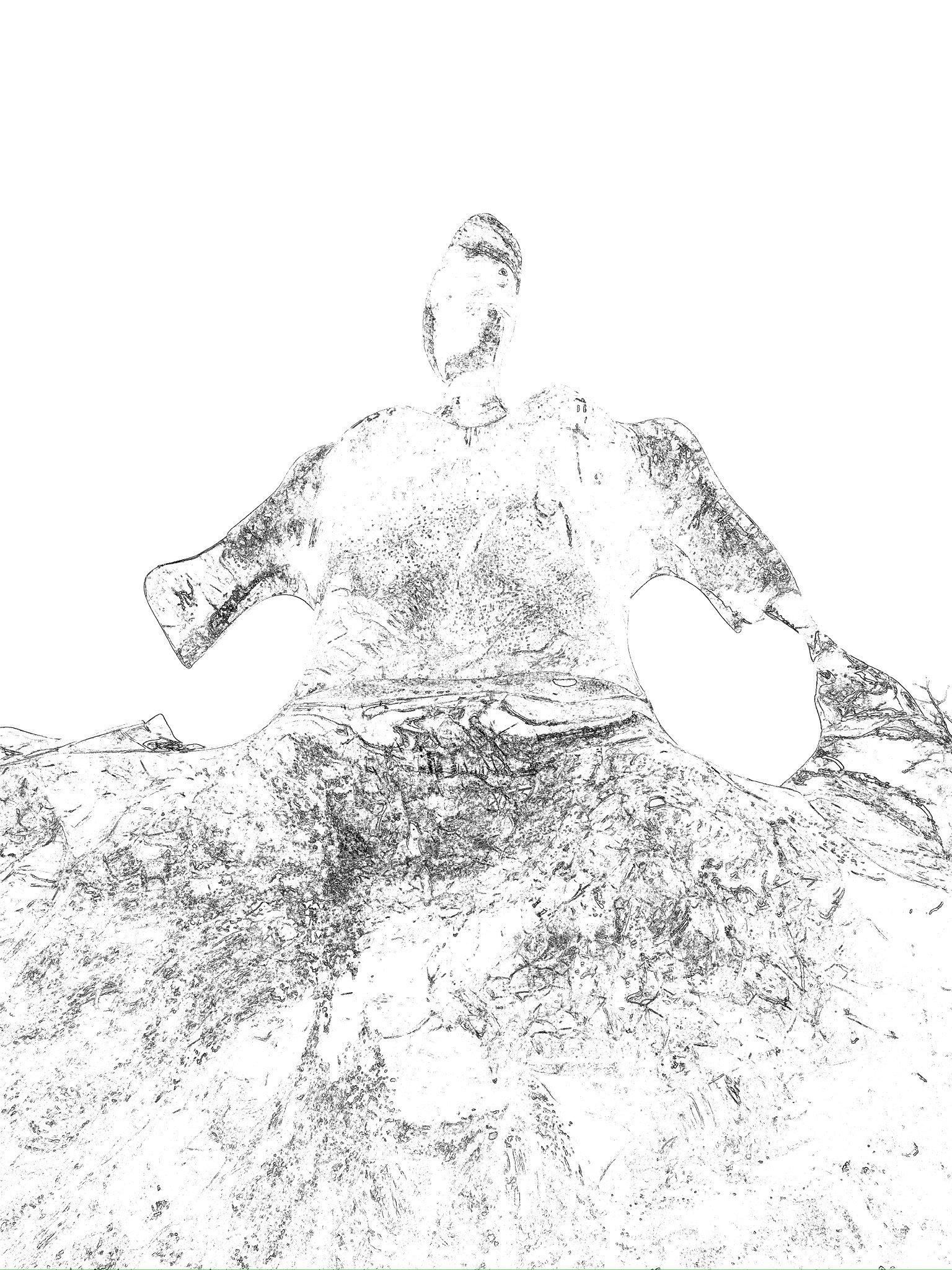 _Melting Ice in the Sun.jpeg