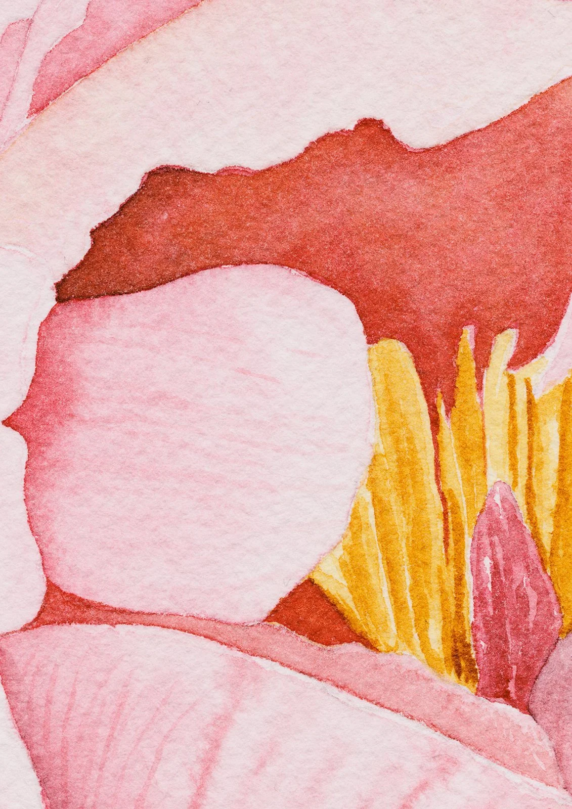 Peony_detail.jpg