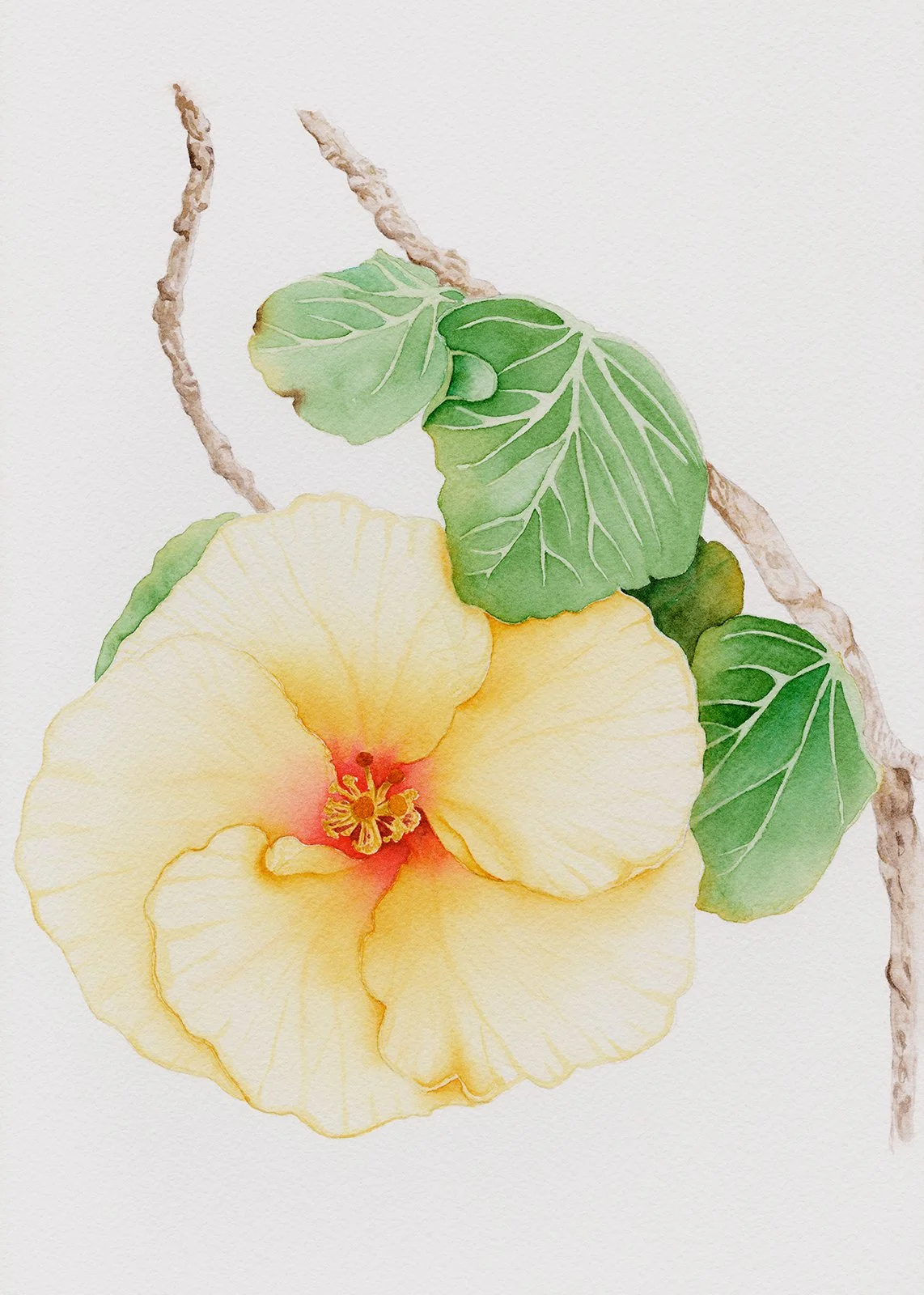 Yellow hibiscus - 21 x 29.7 cm - Original Watercolour Flower Painting