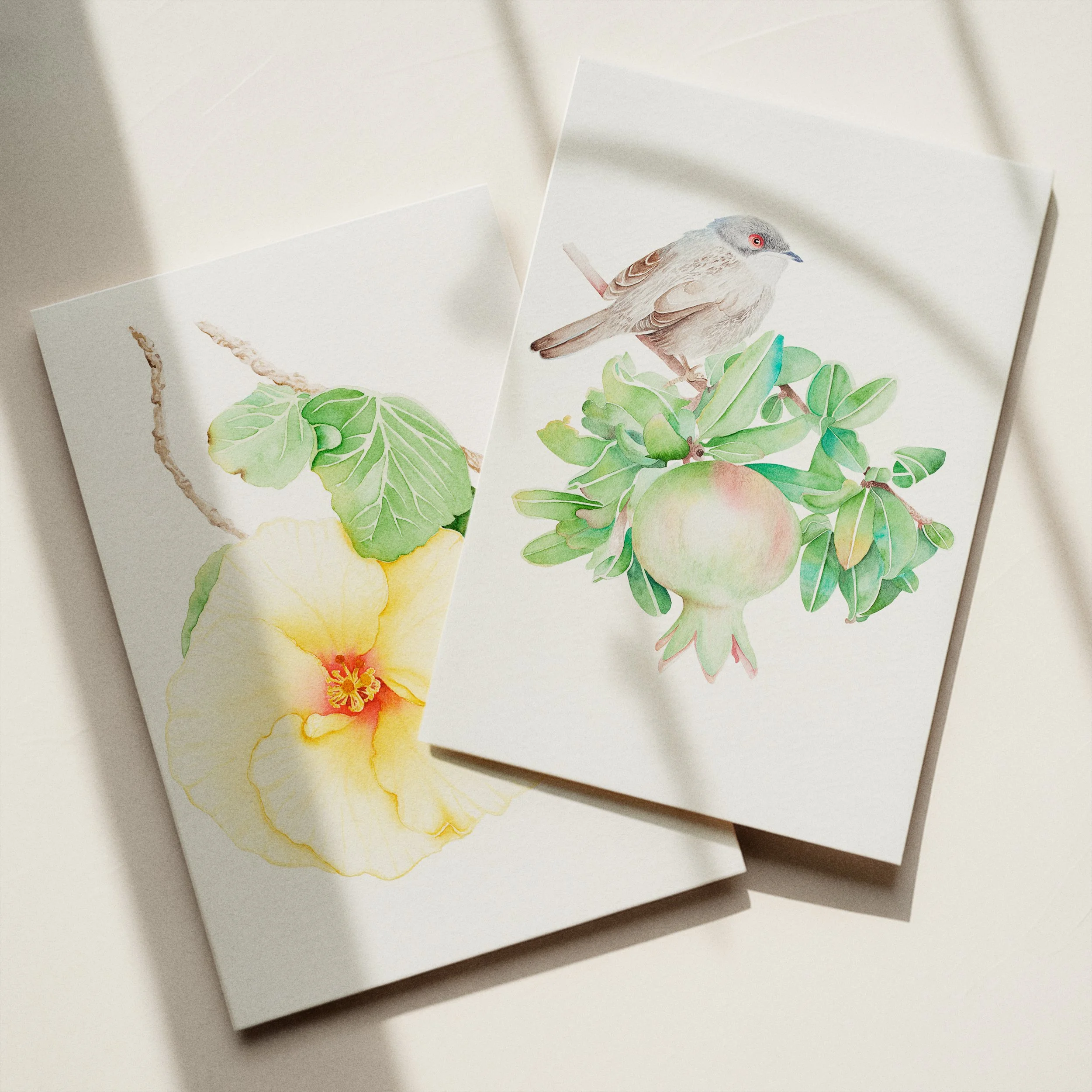 C-Frame Mockup 3 by Sunhund-2_5x7.jpg