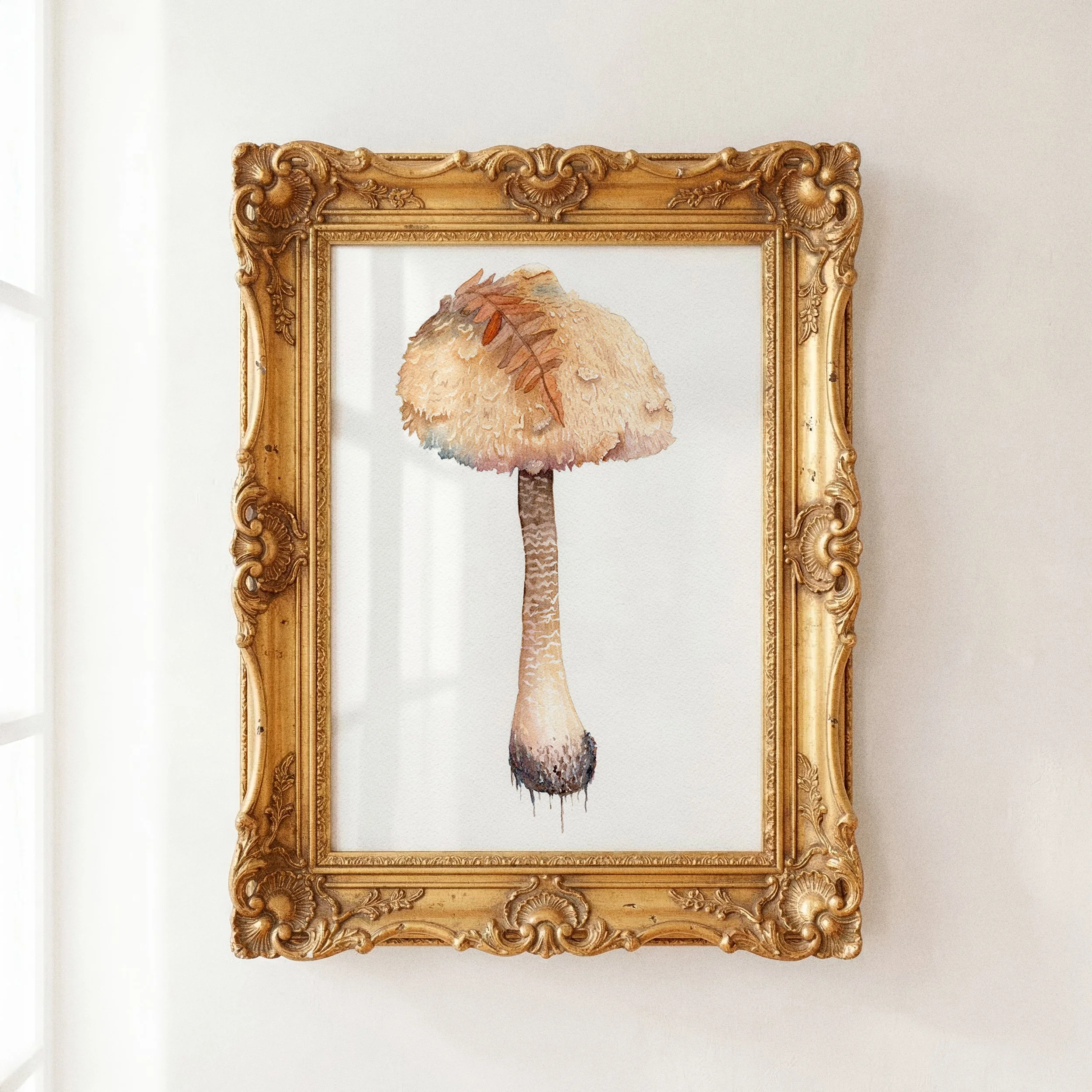 Parasol mushroom_Sabina Hannila_Watercolour_001.jpg