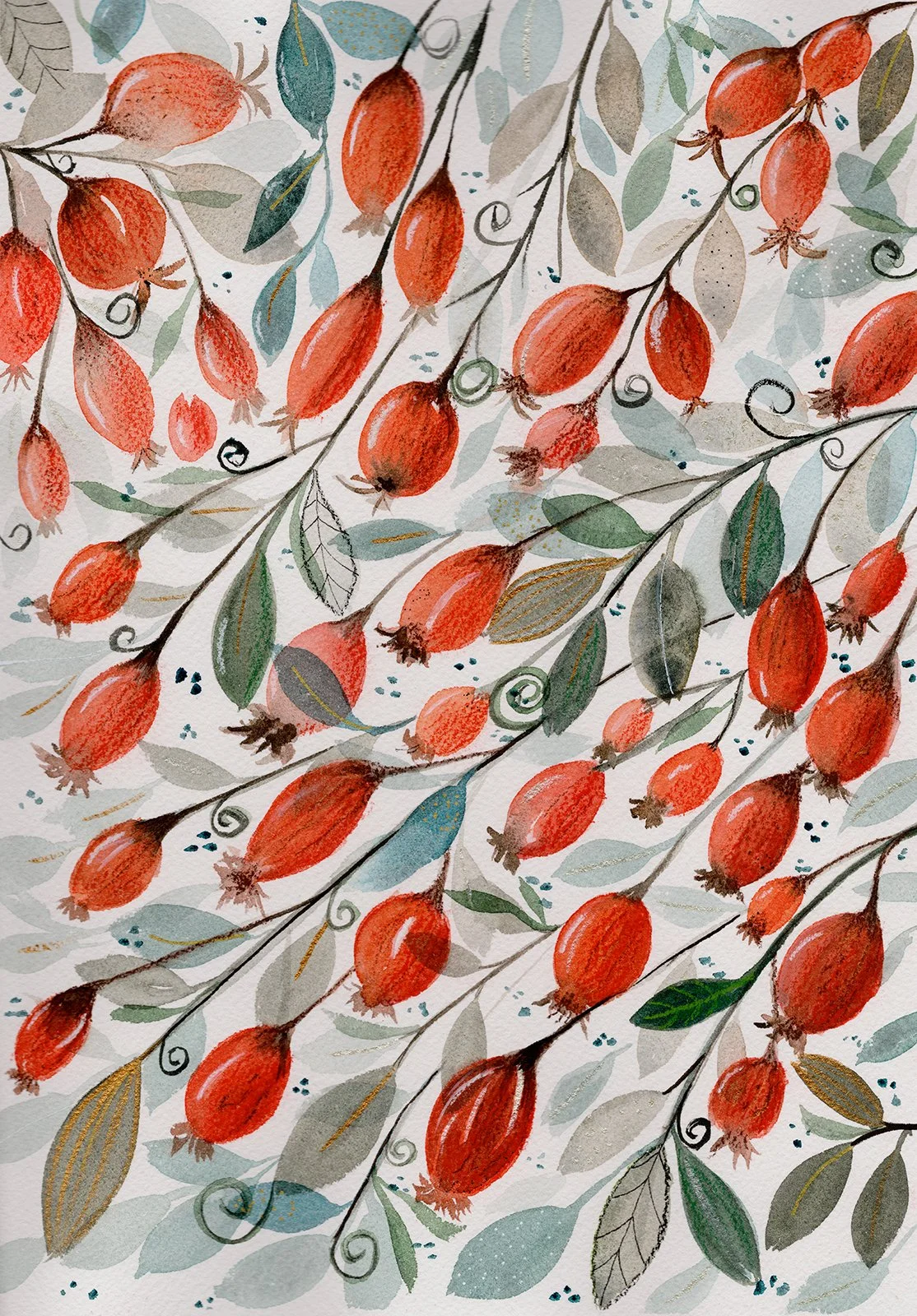 Rosehips.jpg