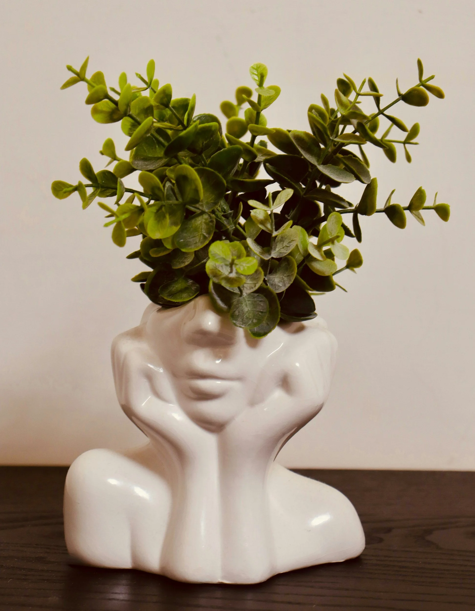 potted greenery in a pot that appears like a human head