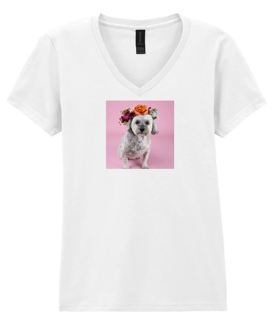 Tshirt ladies front pic.jpg