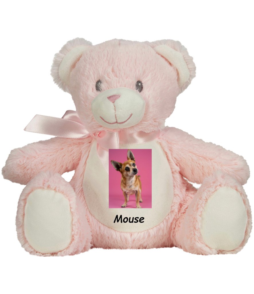 Teddypinkbear.jpg