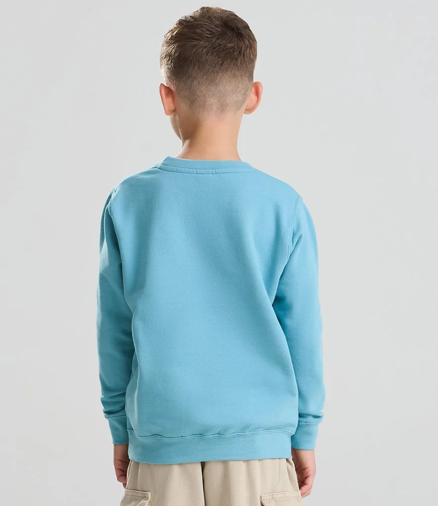 Sweatshirt kids (1).jpg