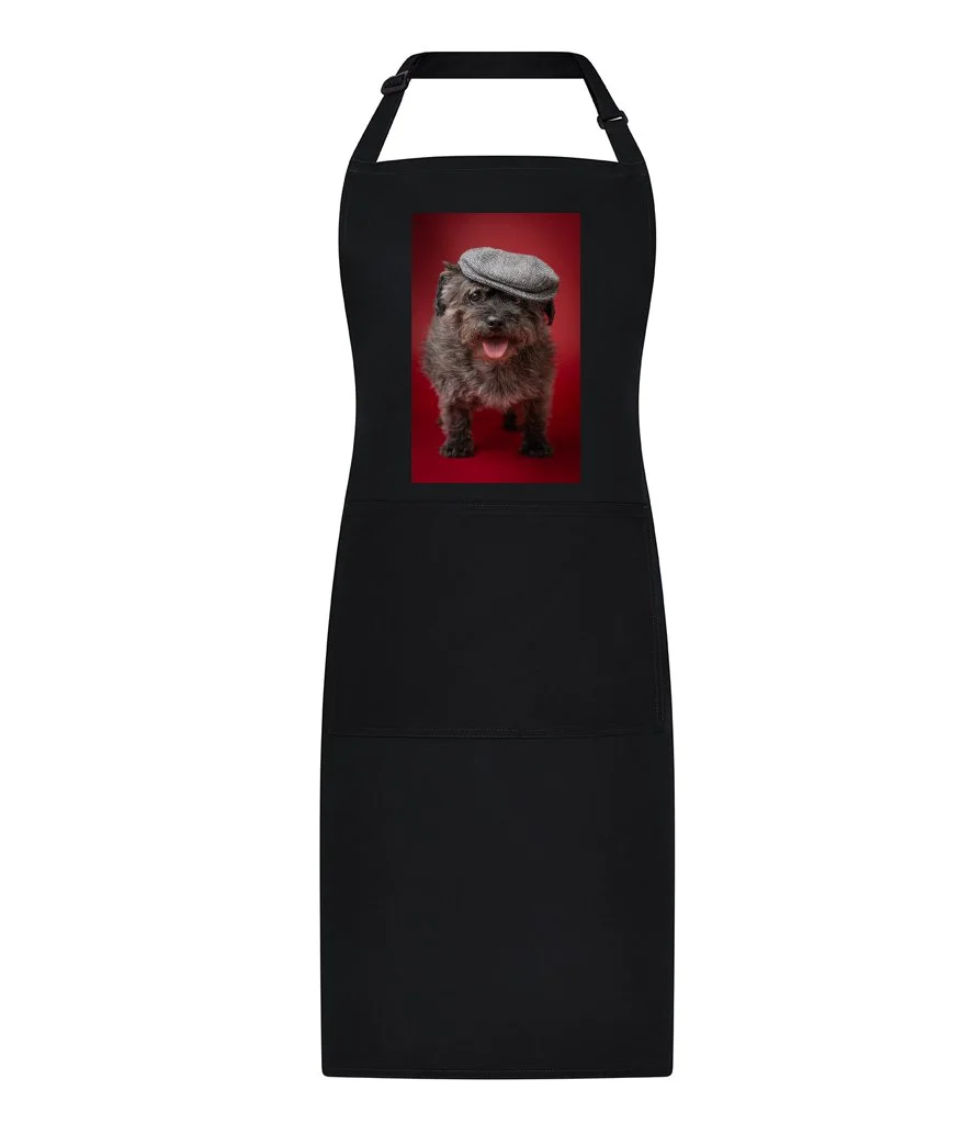 Apron1.jpg