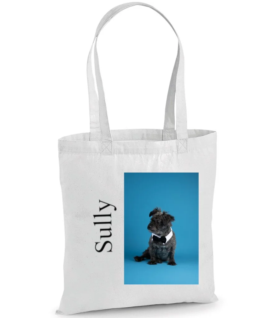 Totebagpicture.jpg