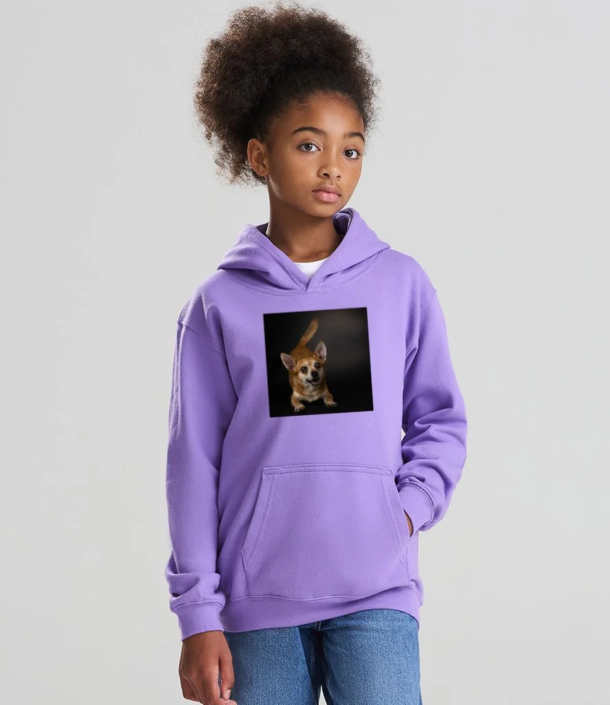 Hoodies kids pic.jpg