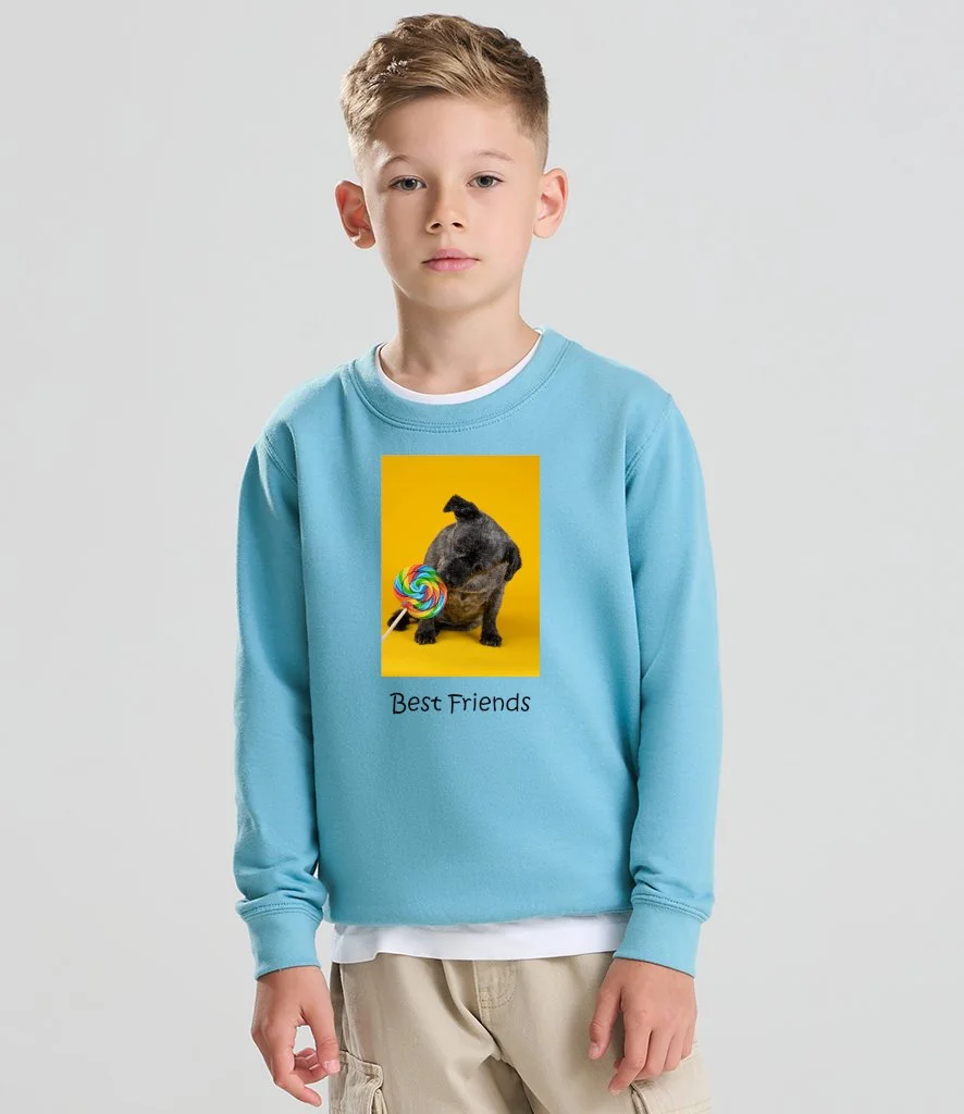 Sweatshirt kids pic.jpg