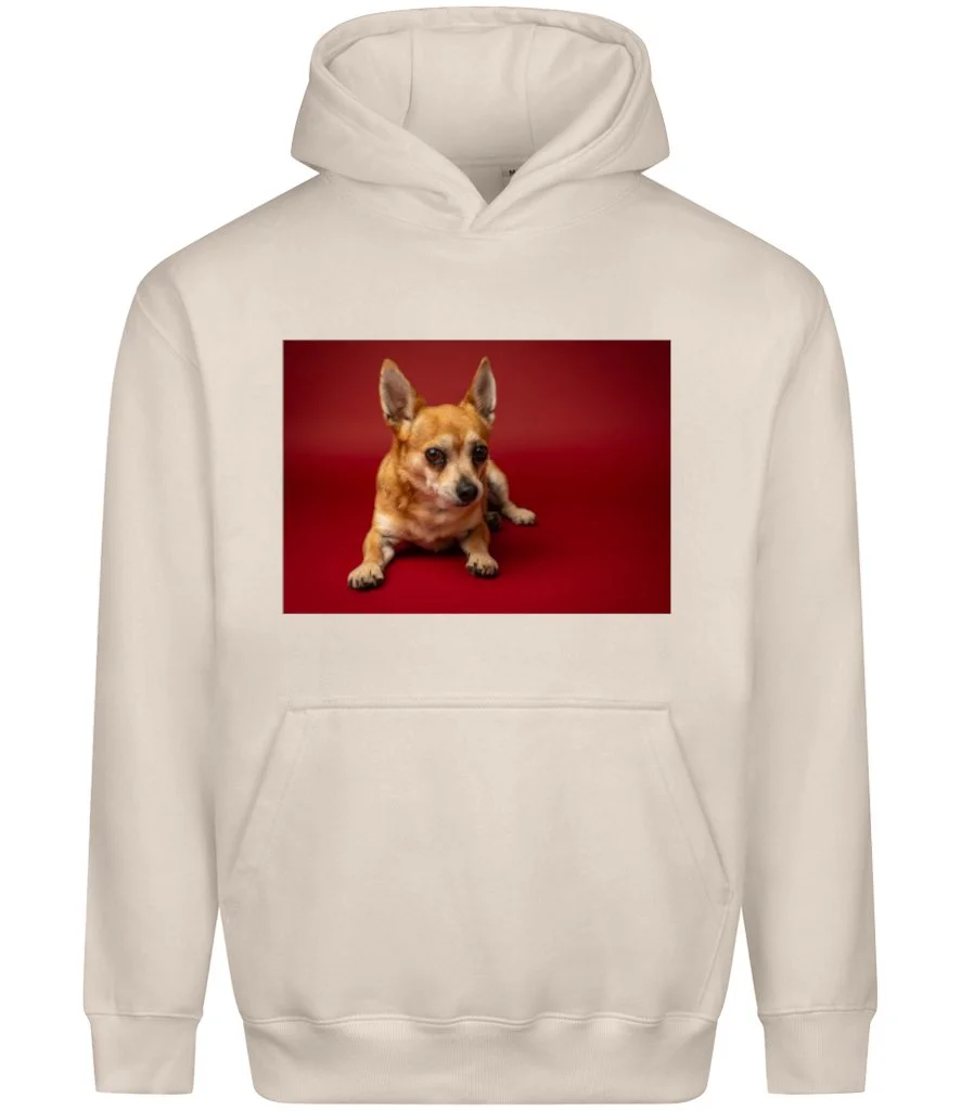 Hoodiepicture.jpg