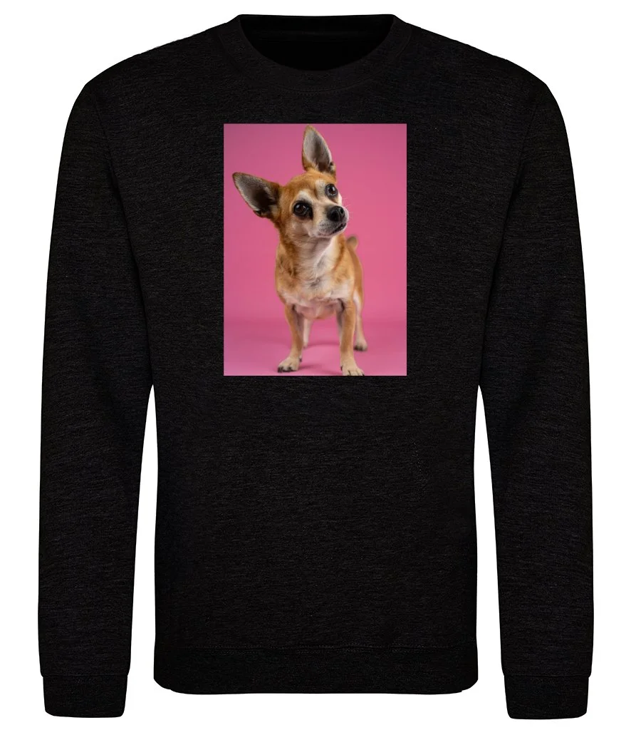 Sweatshirtspic.jpg