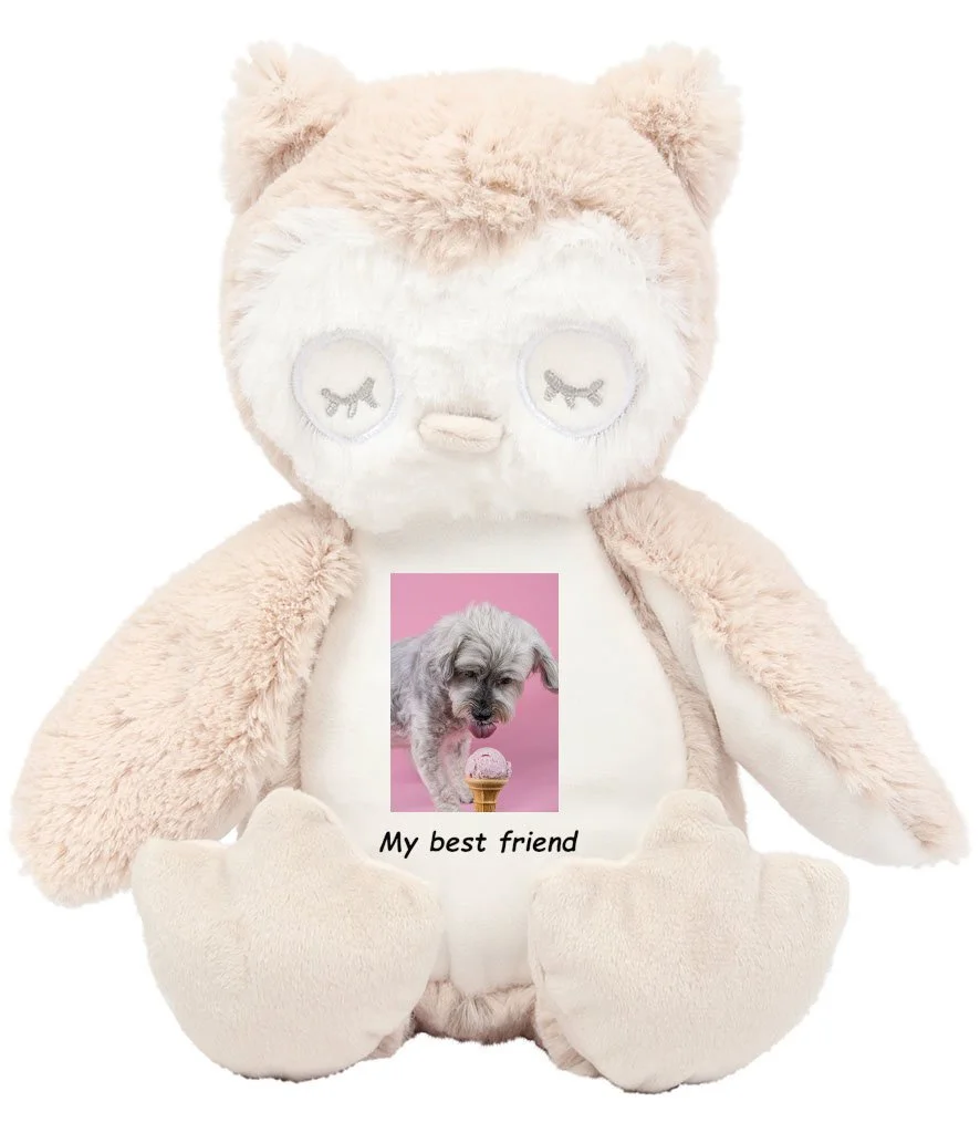 Teddy owl image.jpg