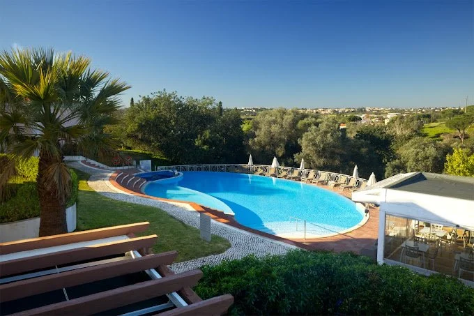 Swimming pool with lounge chairs and umbrellas, surrounded by green trees and a clear blue sky.